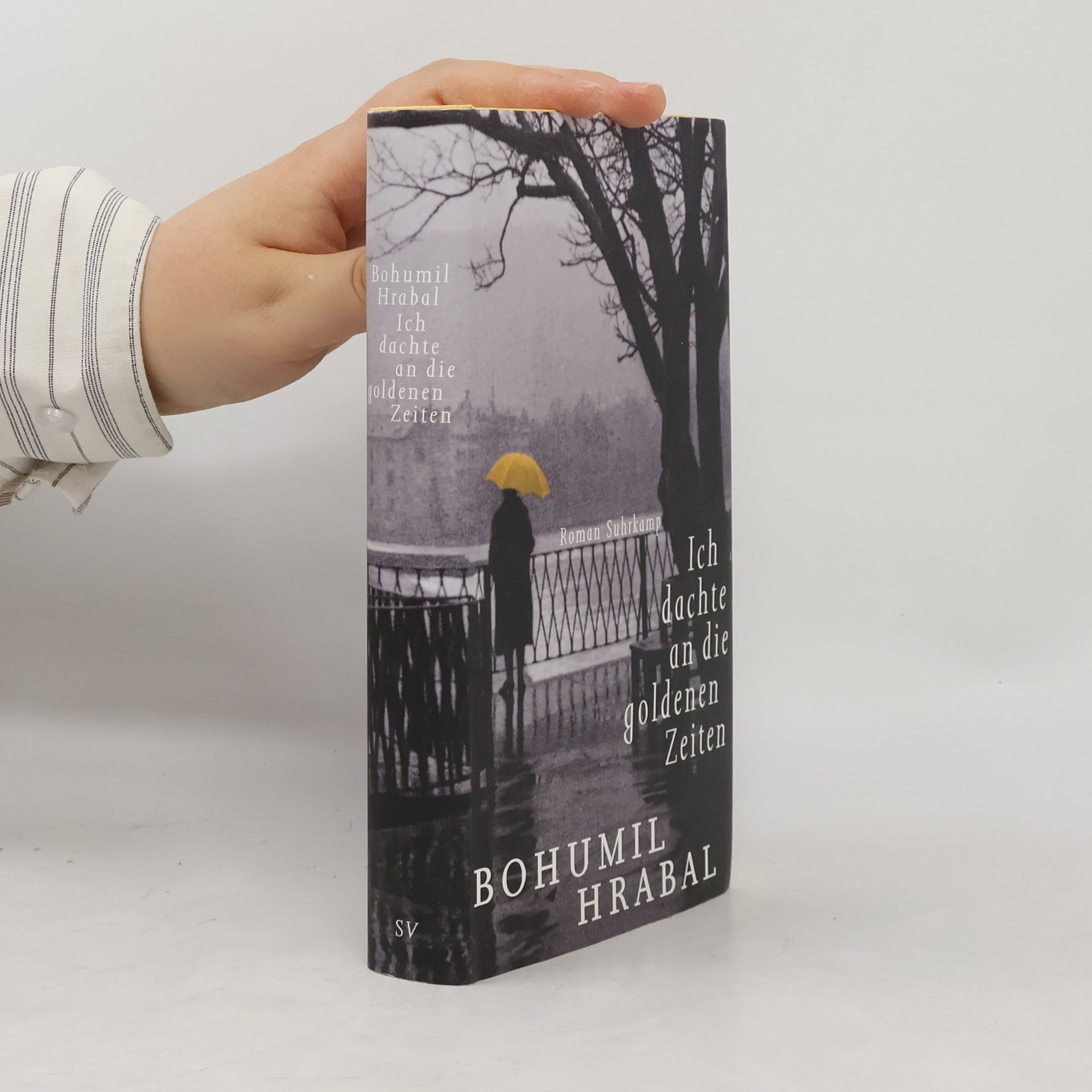 Bohumil Hrabal Ich dachte an die goldenen Zeiten
