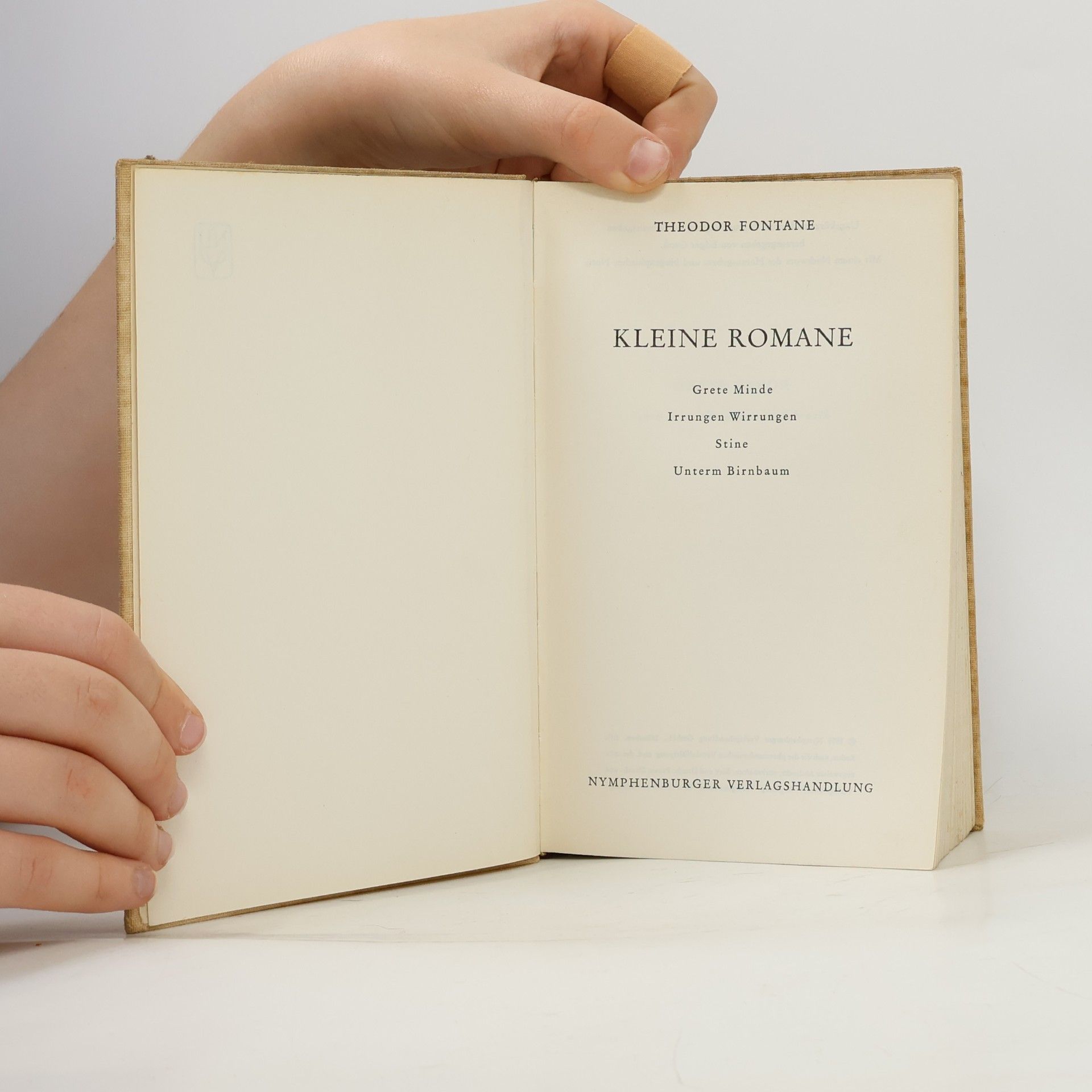 Theodor Fontane Kleine romane