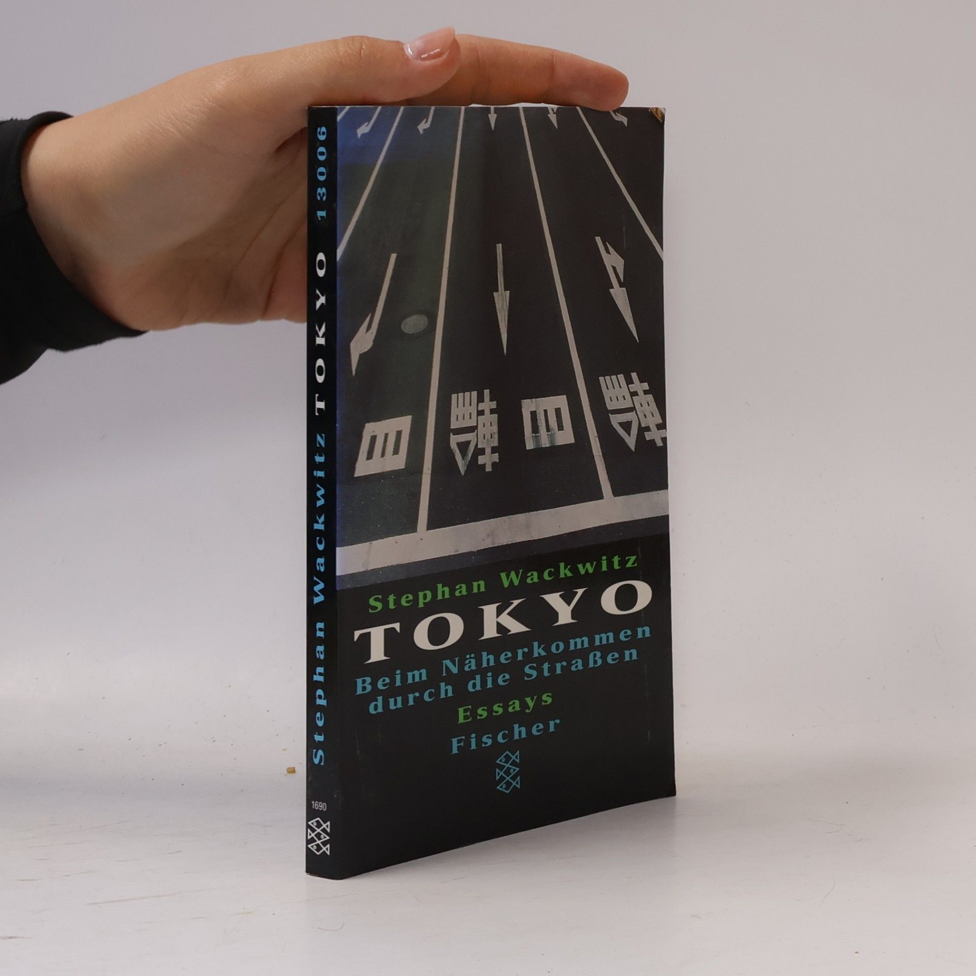 Stephan Wackwitz Tokyo beim Näherkommen durch die Strassen