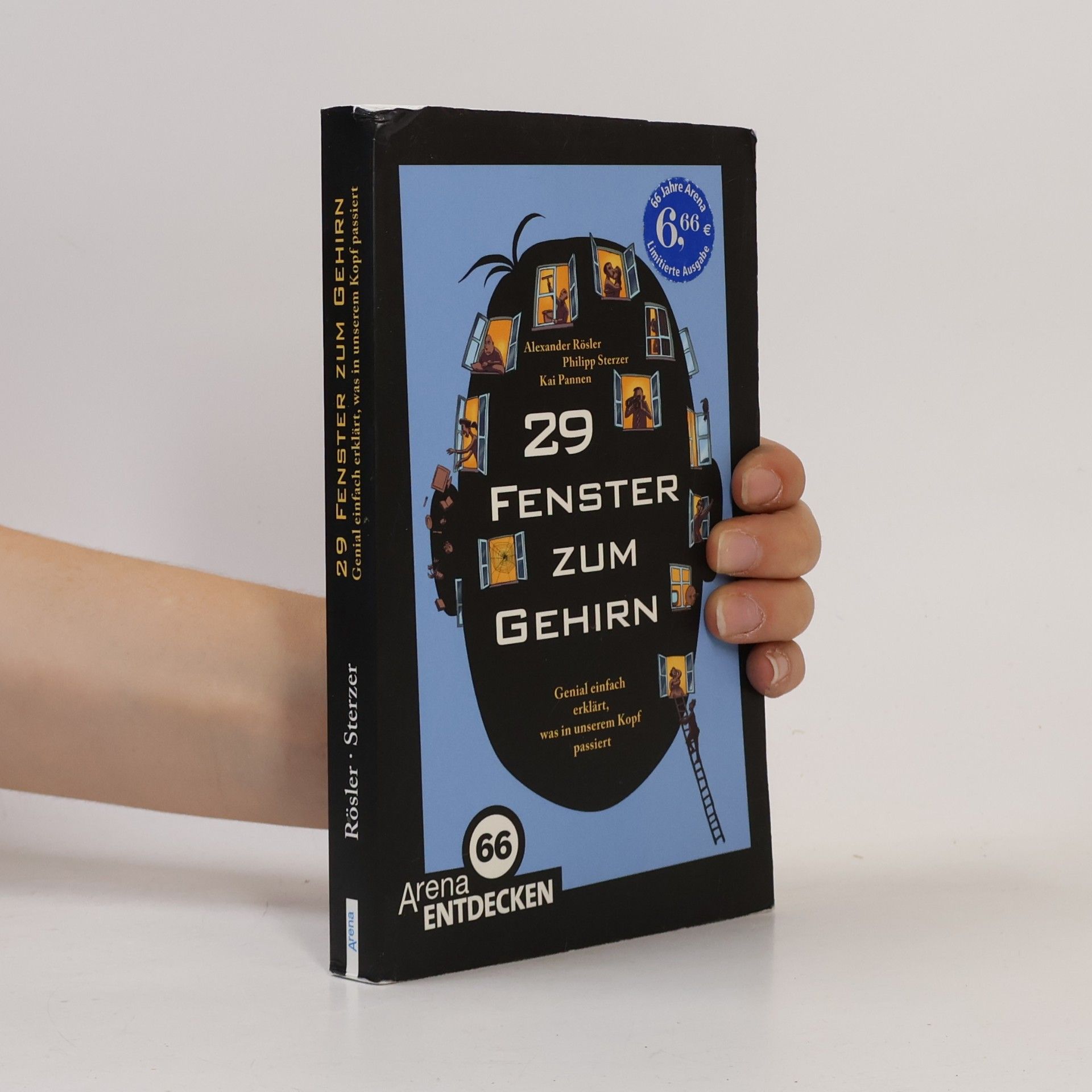 29 Fenster zum Gehirn