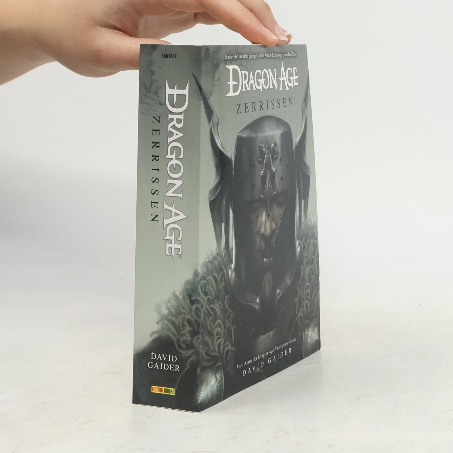 David Gaider Dragon Age - Zerrissen