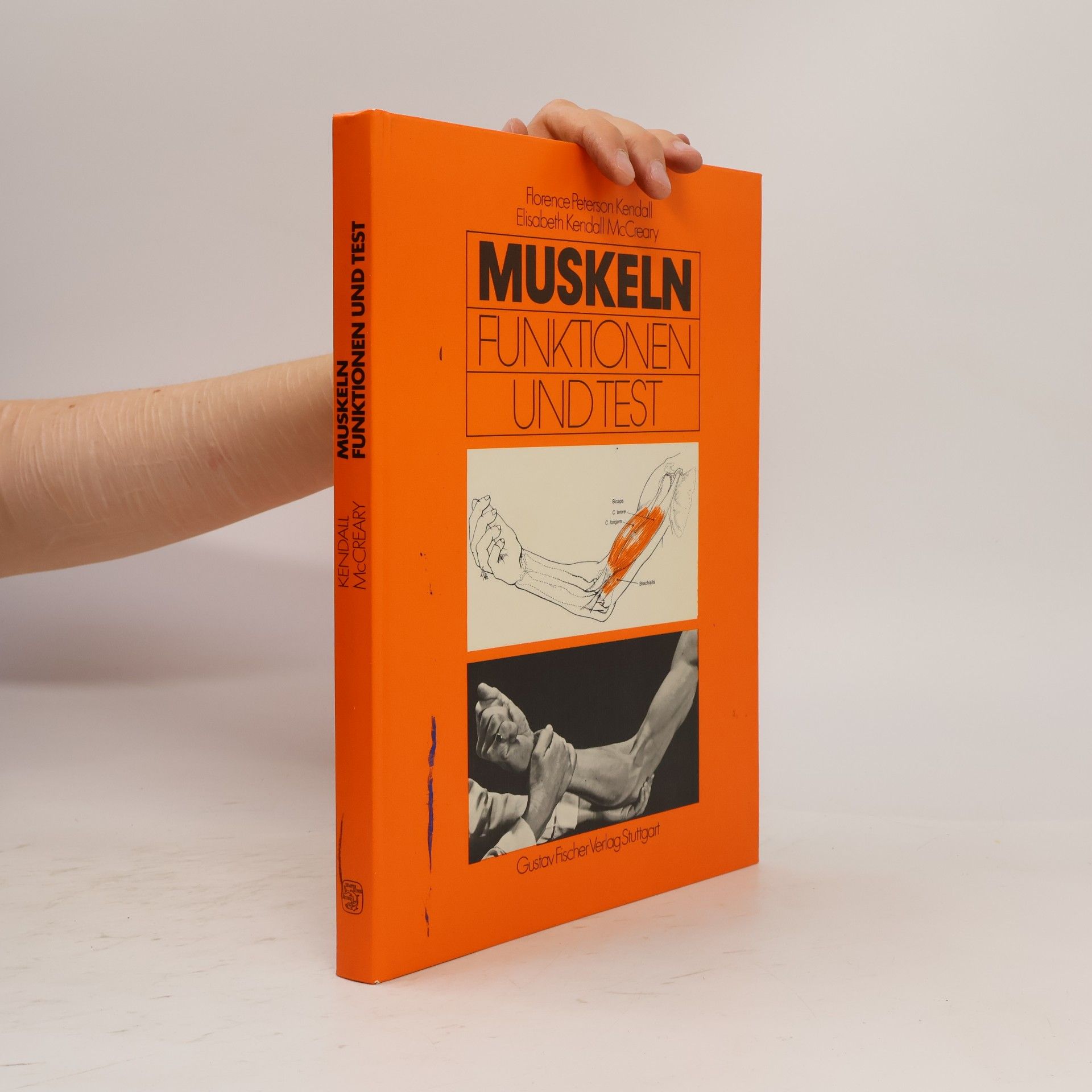 Elisabeth Kendall McCreary Muskeln Funktionen und Test