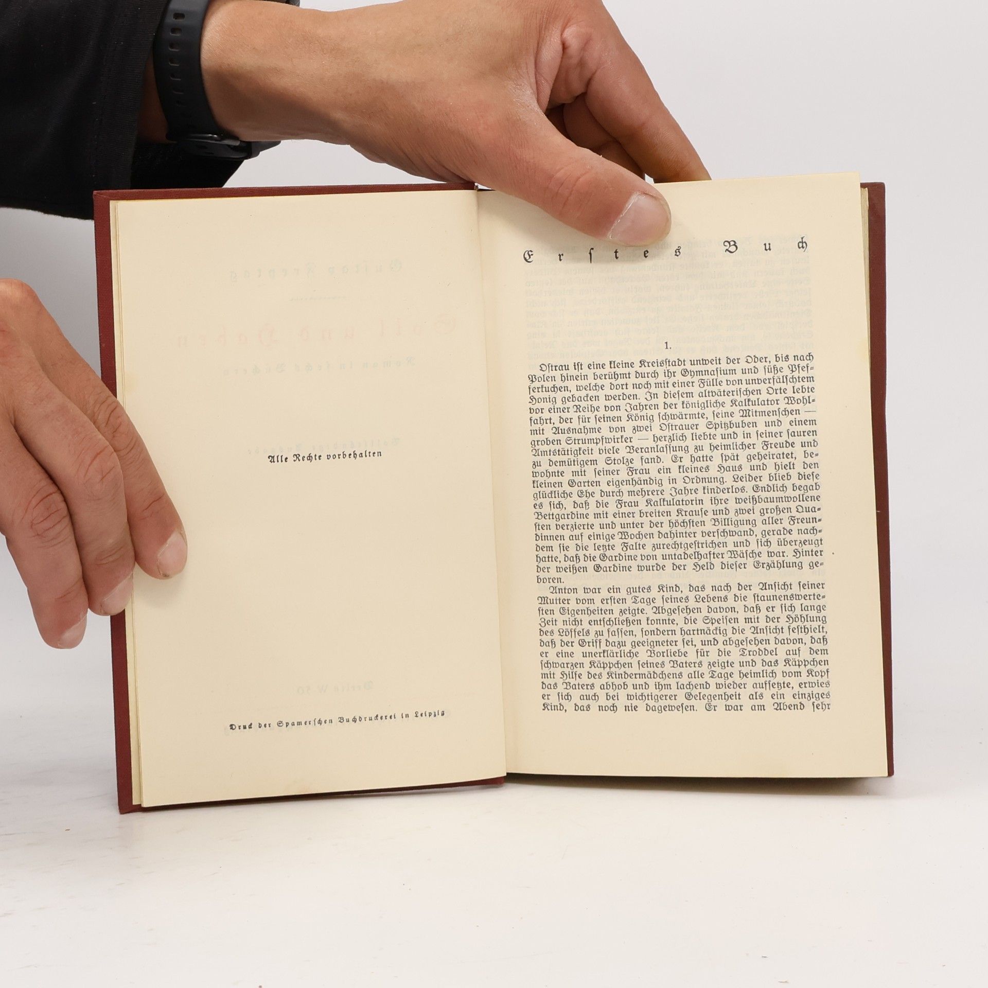 Gustav Freytag Soll und Haben