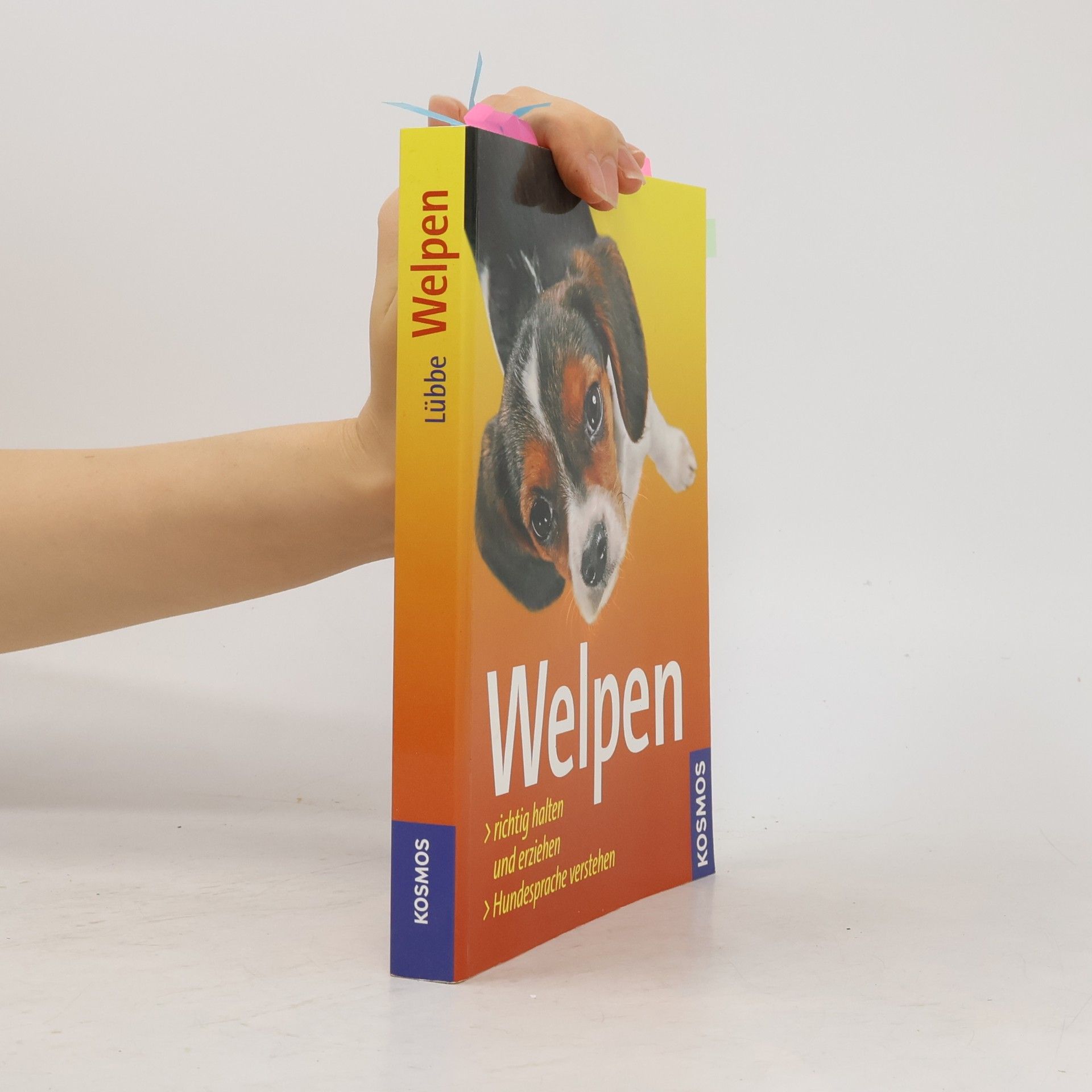 kolektiv Welpen