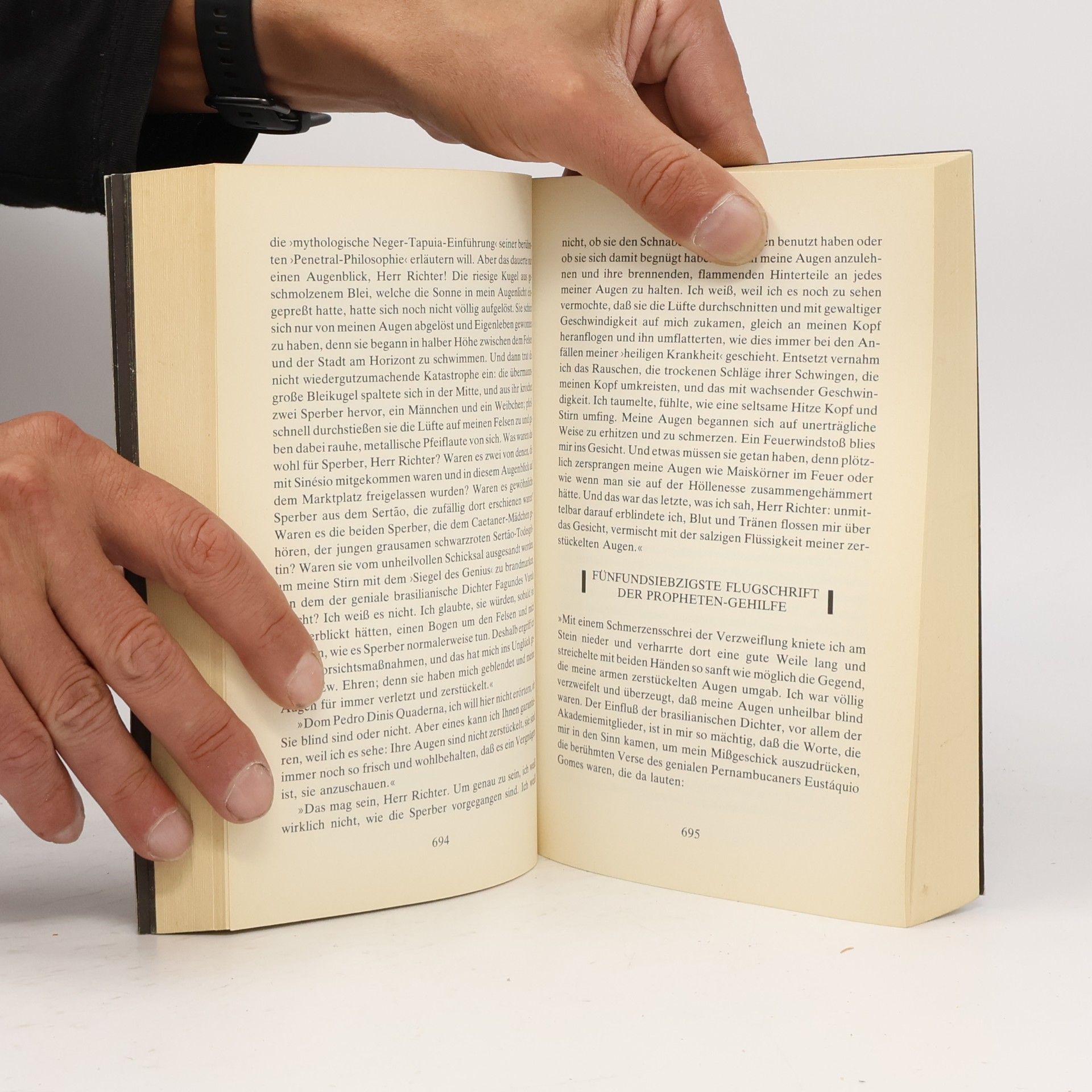 Ariano Suassuna Der Stein des Reiches (5518 989)