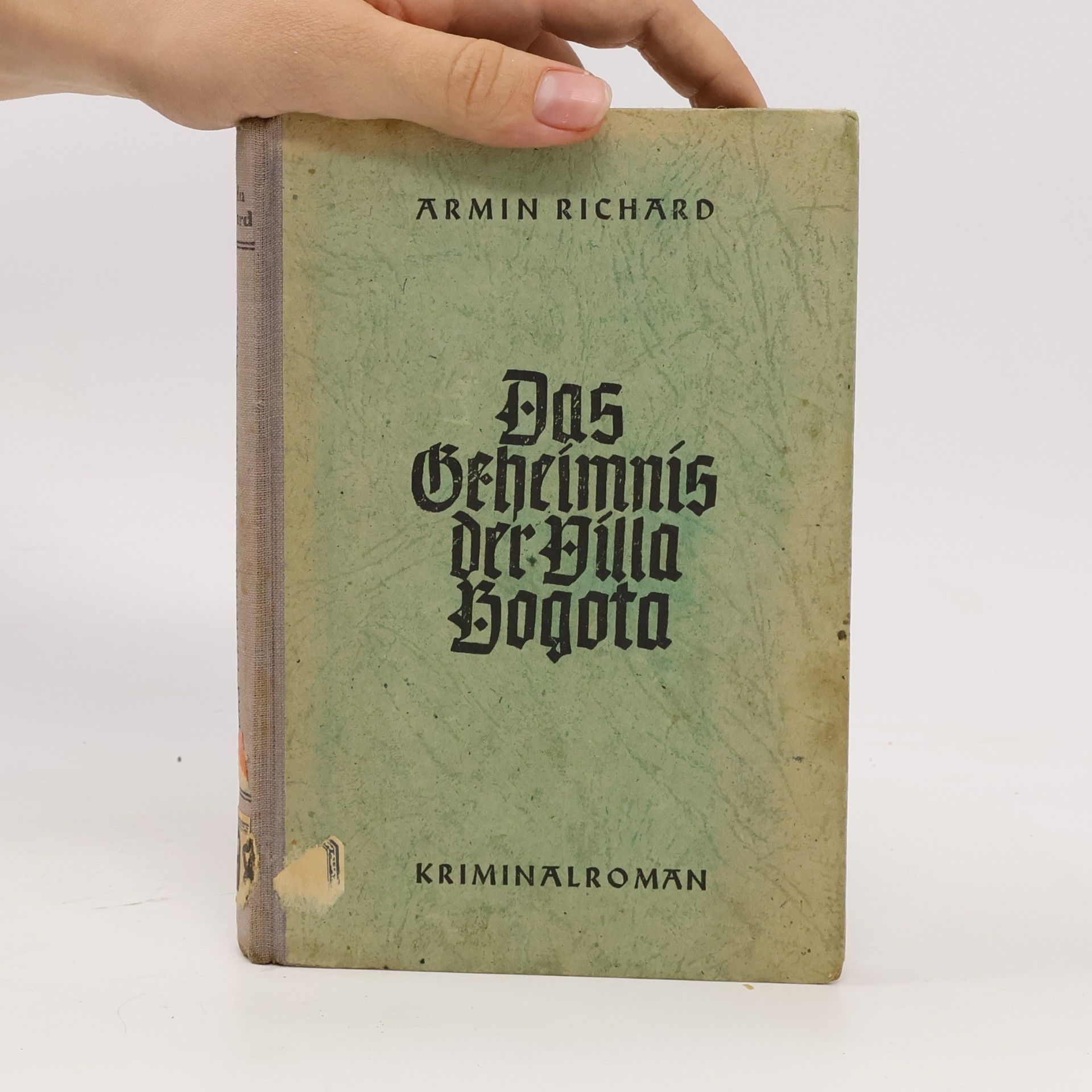 Armin Richard Das Geheimnis der Villa Bogota