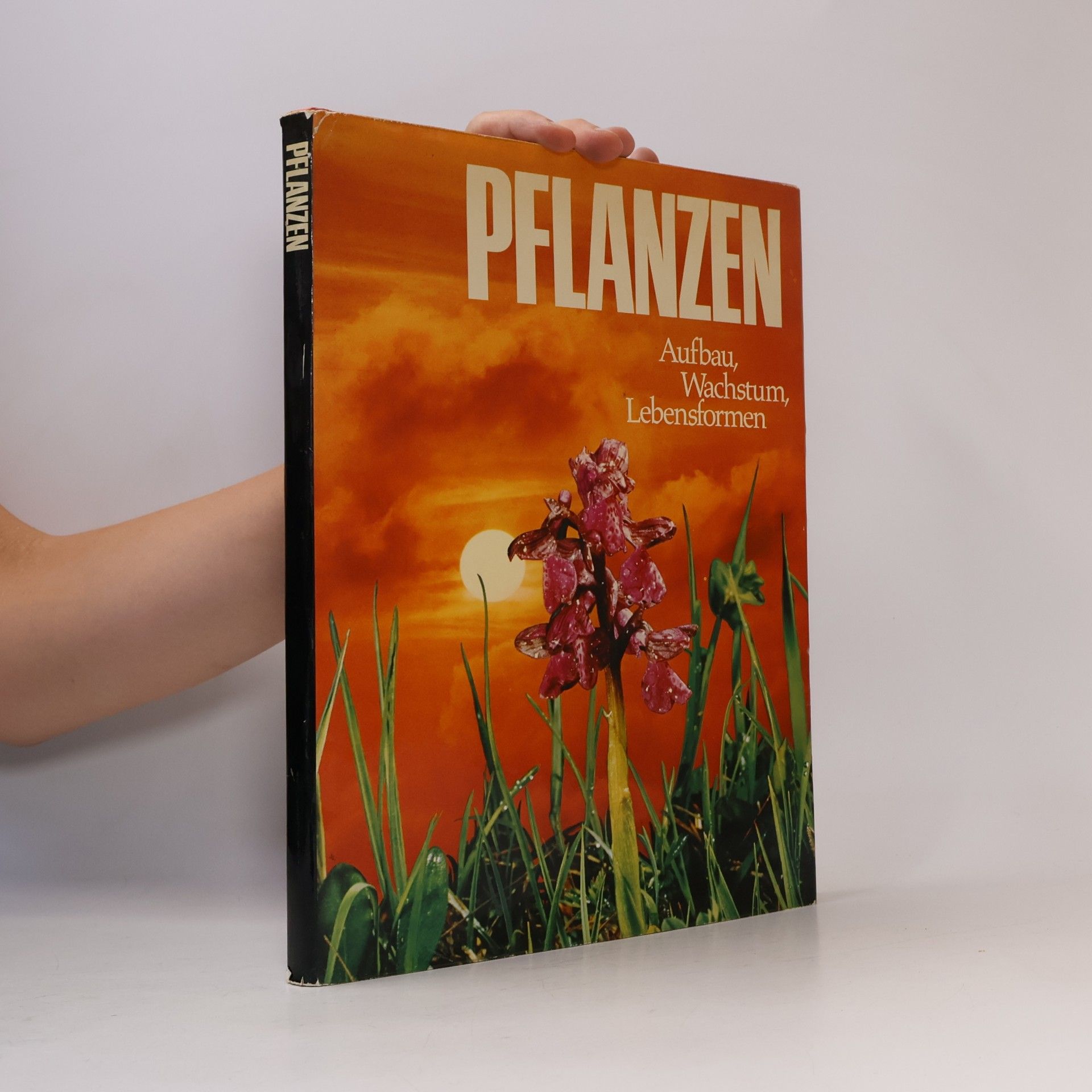 Autorenkollektiv Pflanzen. Aufbau, Wachstum, Lebensformen