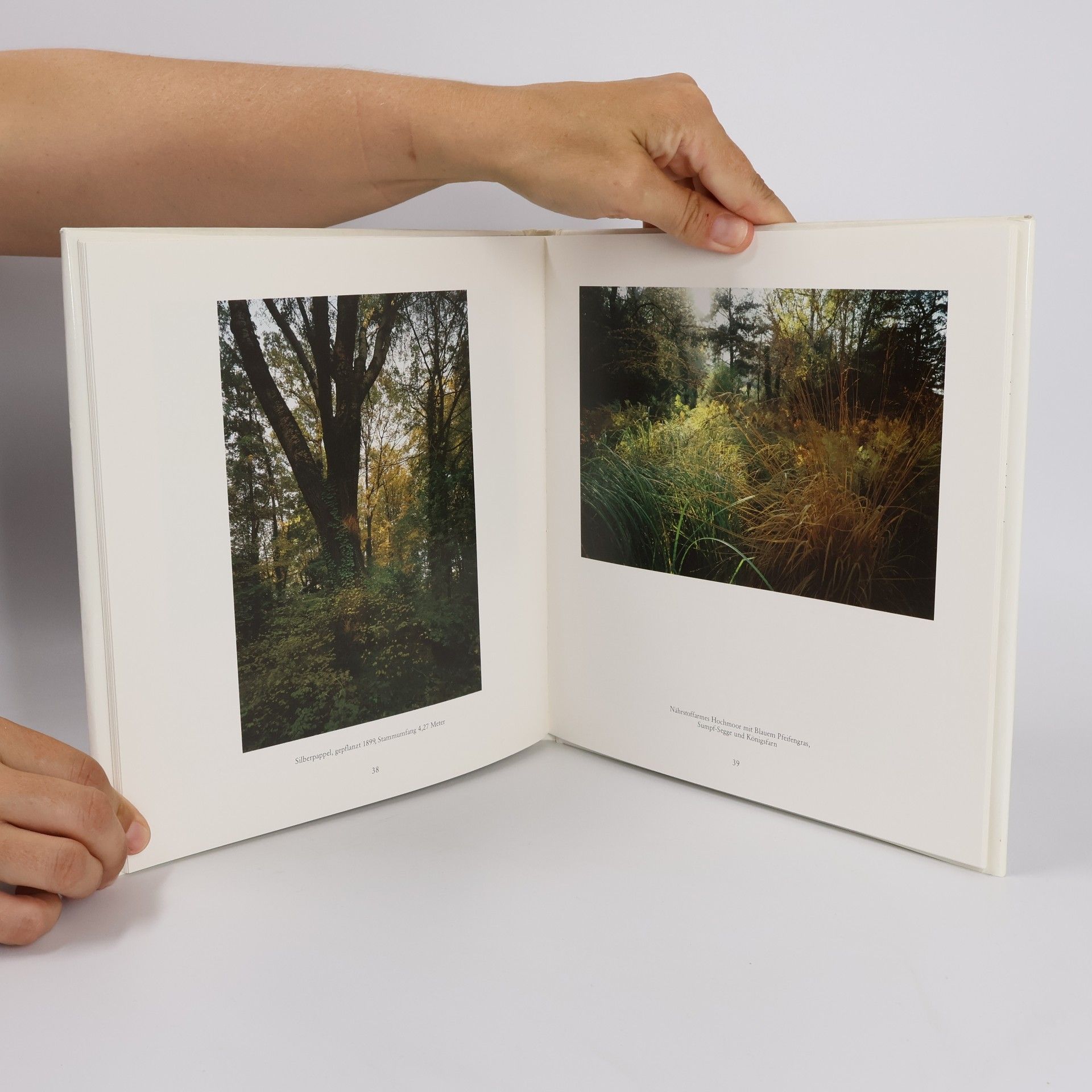 Klaus Noack Der Botanische Garten Berlin