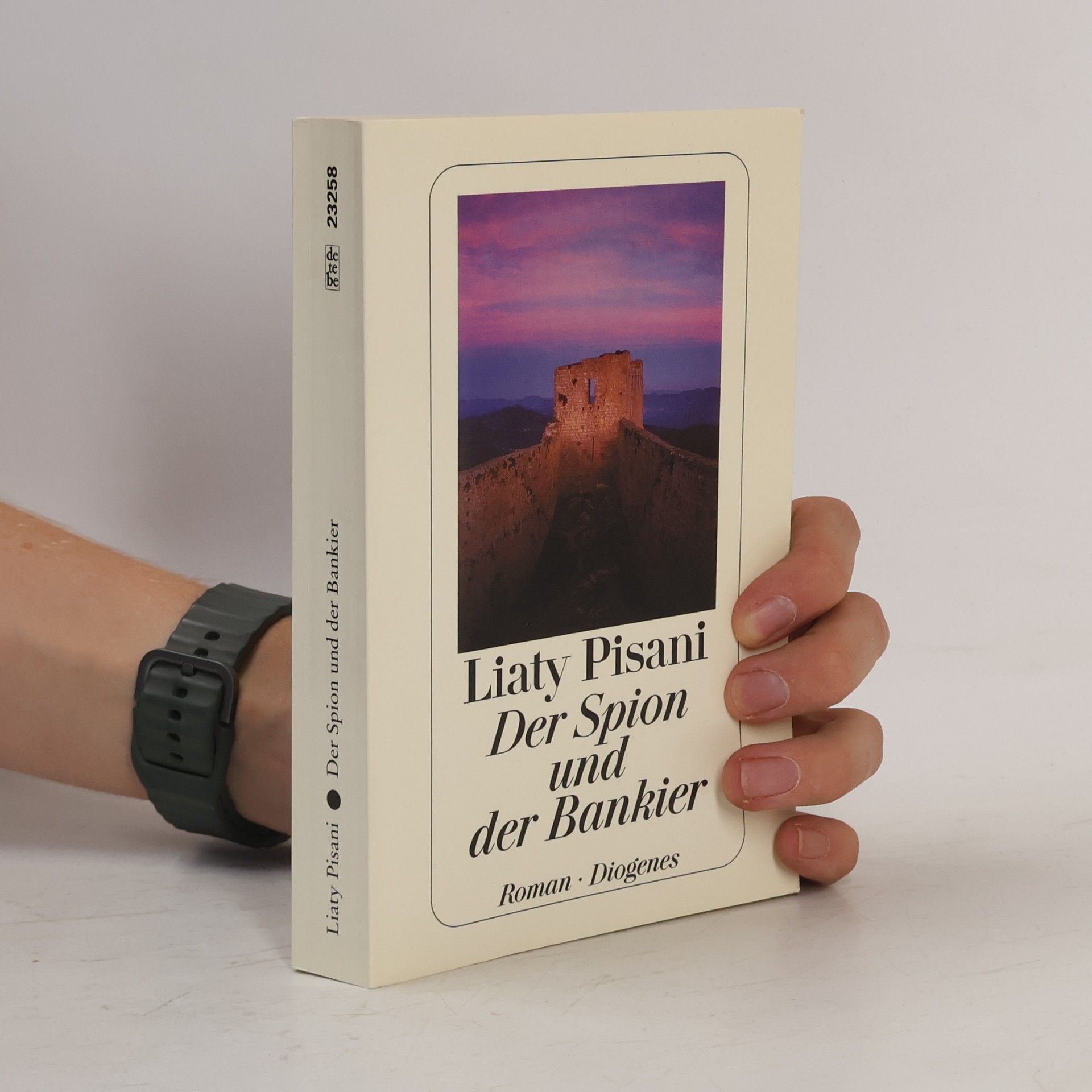 Liaty Pisani Der Spion und der Bankier