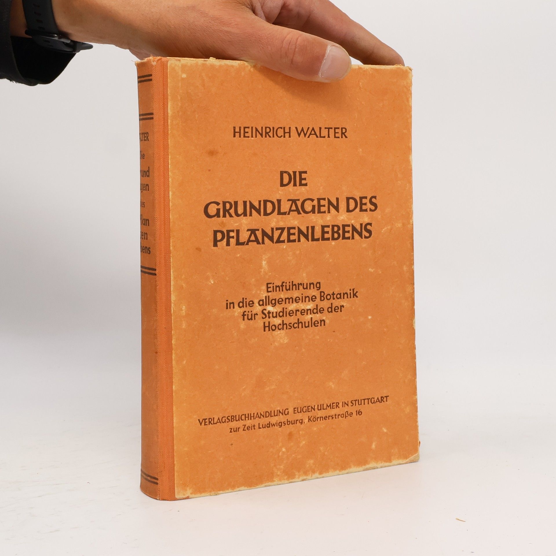 Die Grundlagen des Pflanzenlebens