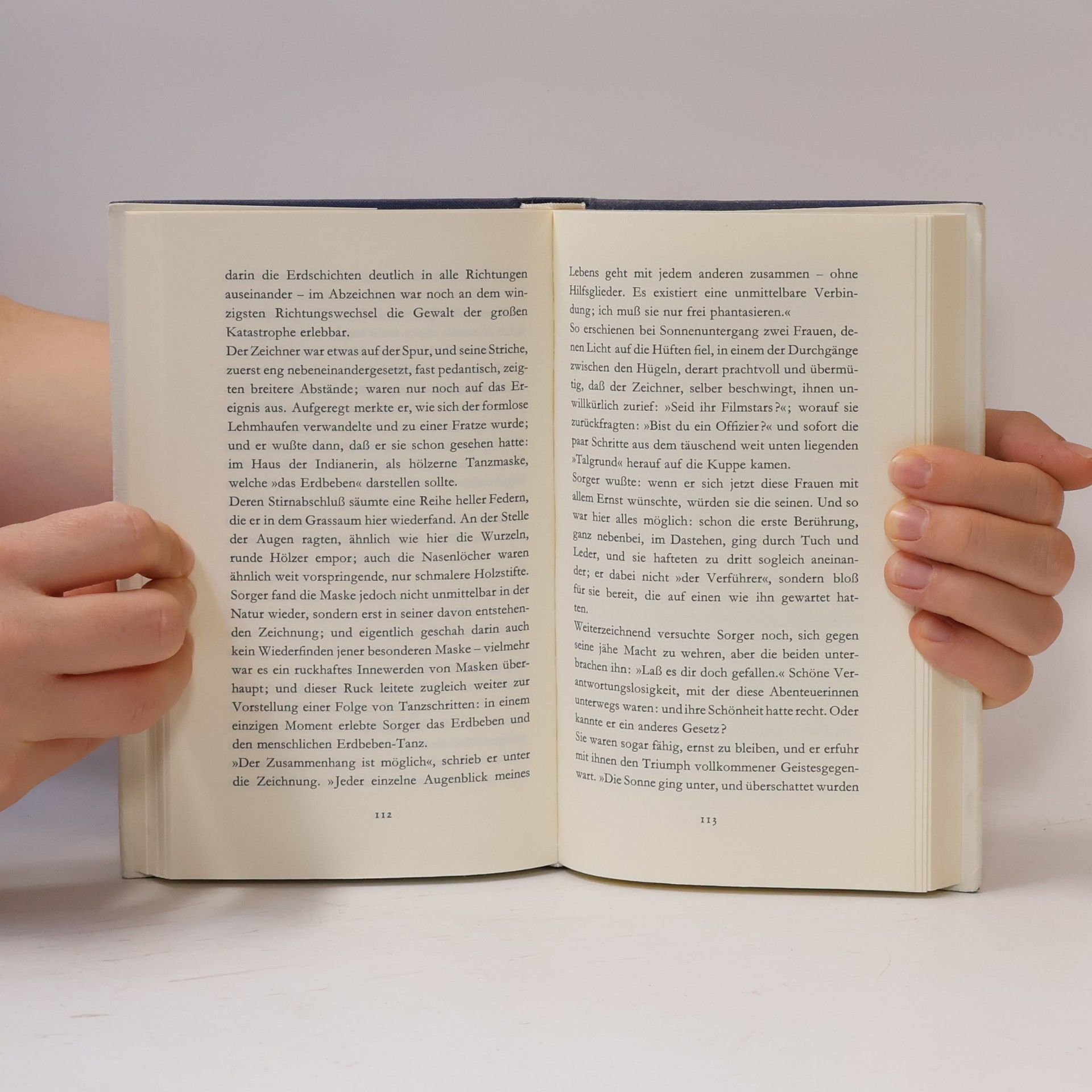 Peter Handke Langsame Heimkehr
