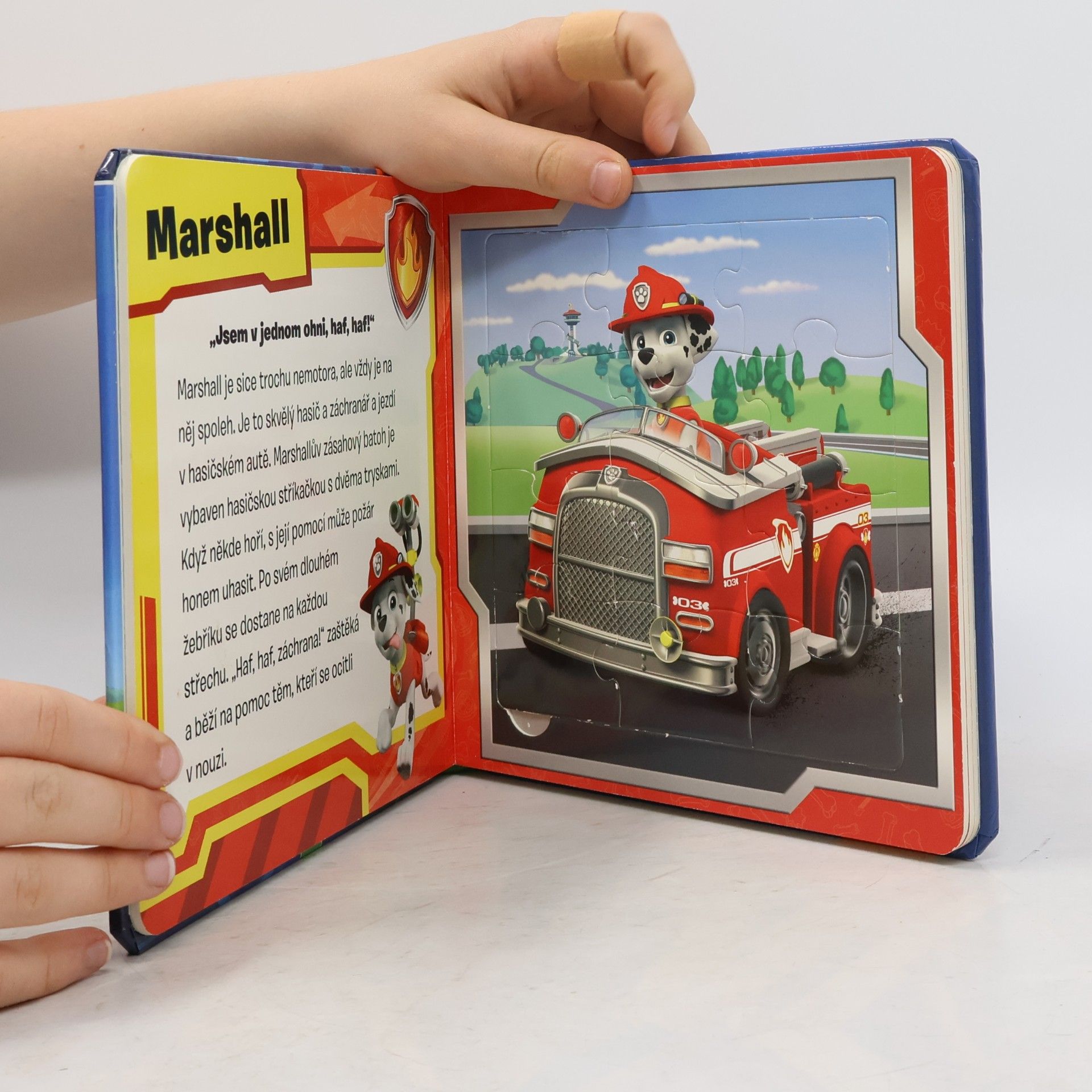 Kolektiv autorů Paw Patrol. Puzzlebuch