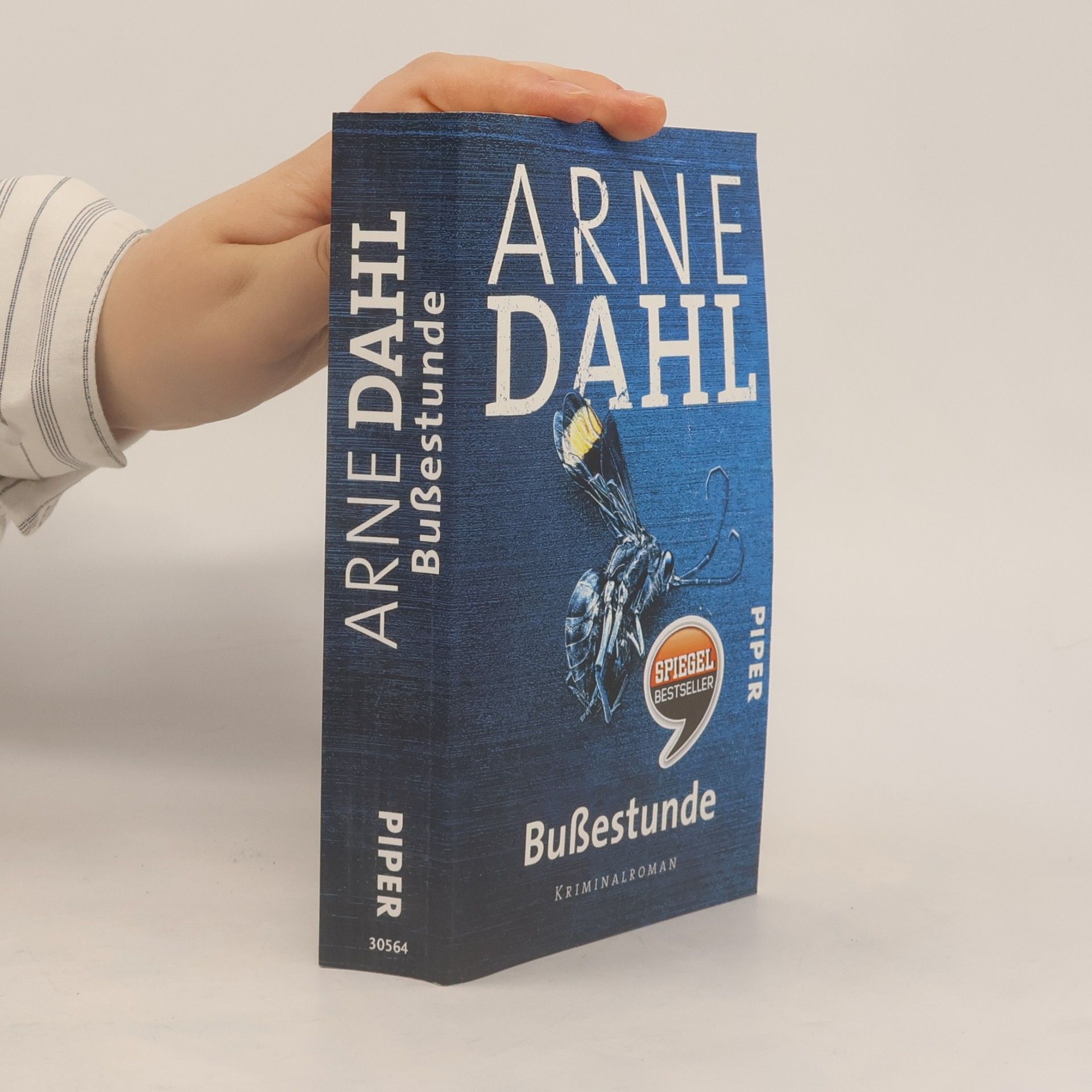 Arne Dahl Bußestunde