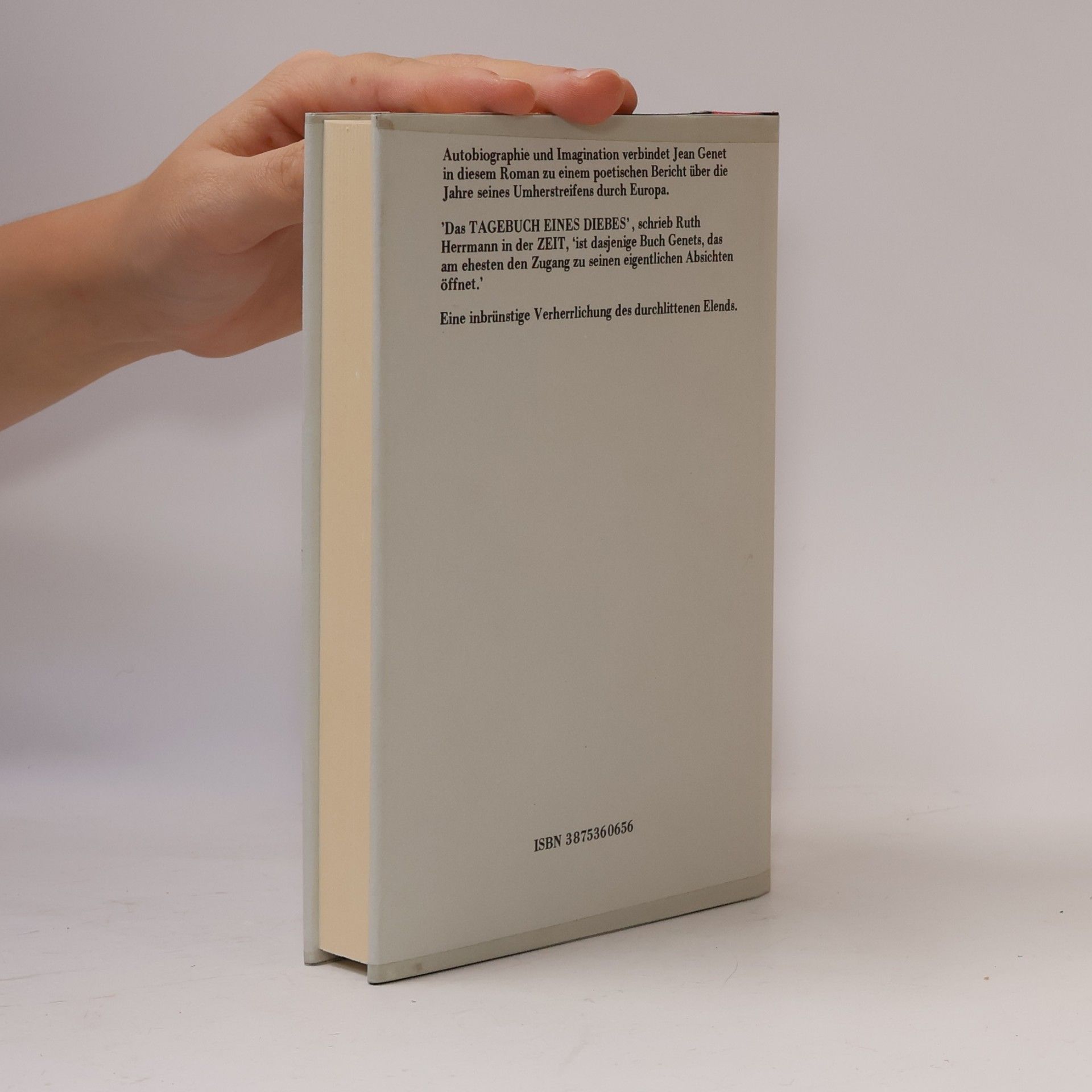 Gerhard Hock Tagebuch eines Diebes
