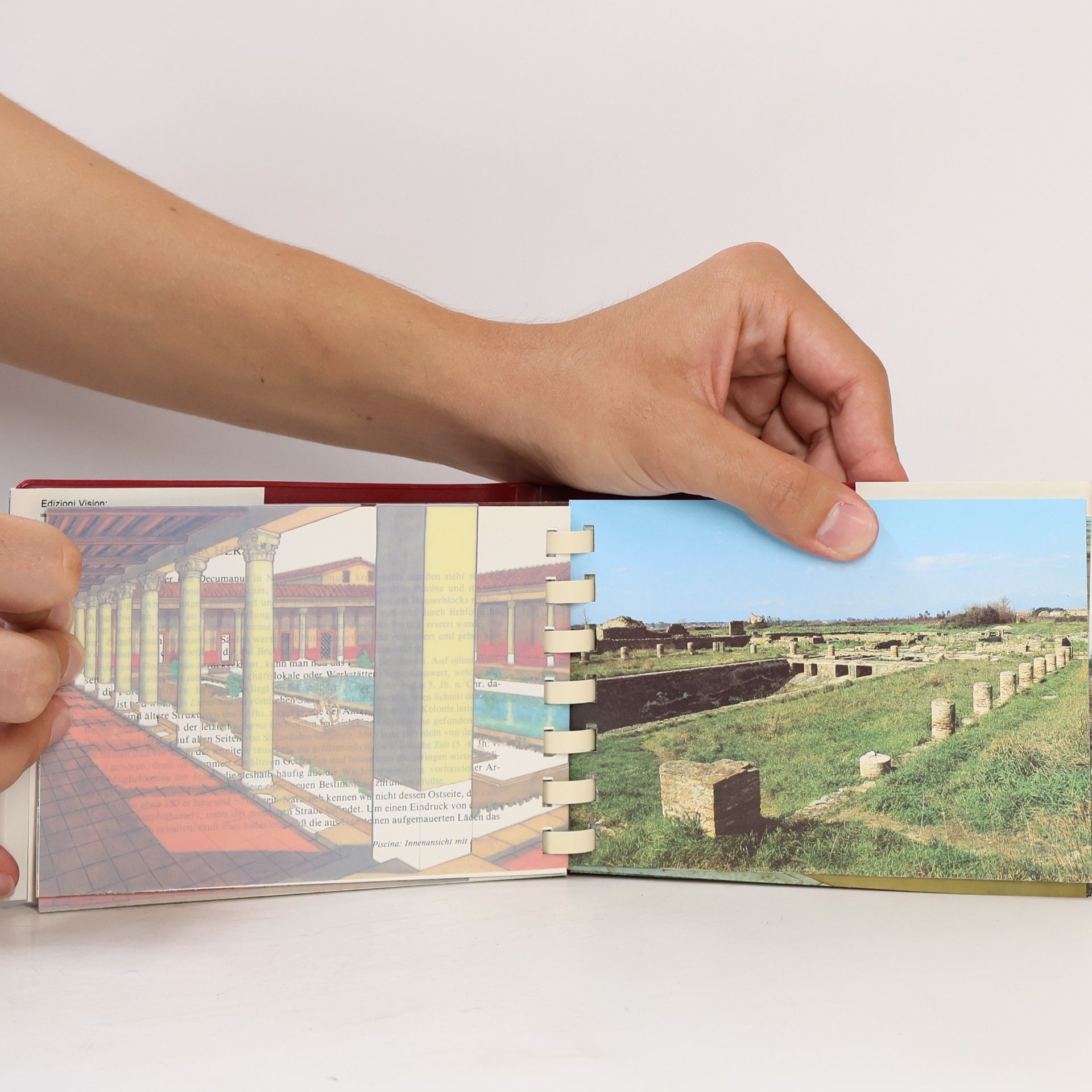 Emanuele Greco Paestum