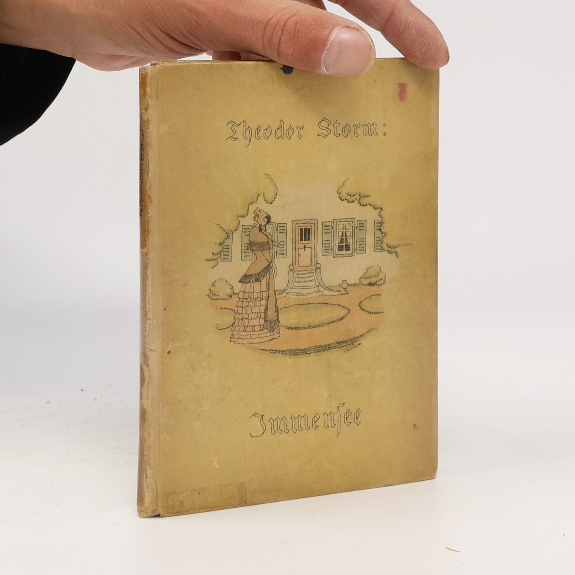 Theodor Storm Immensee