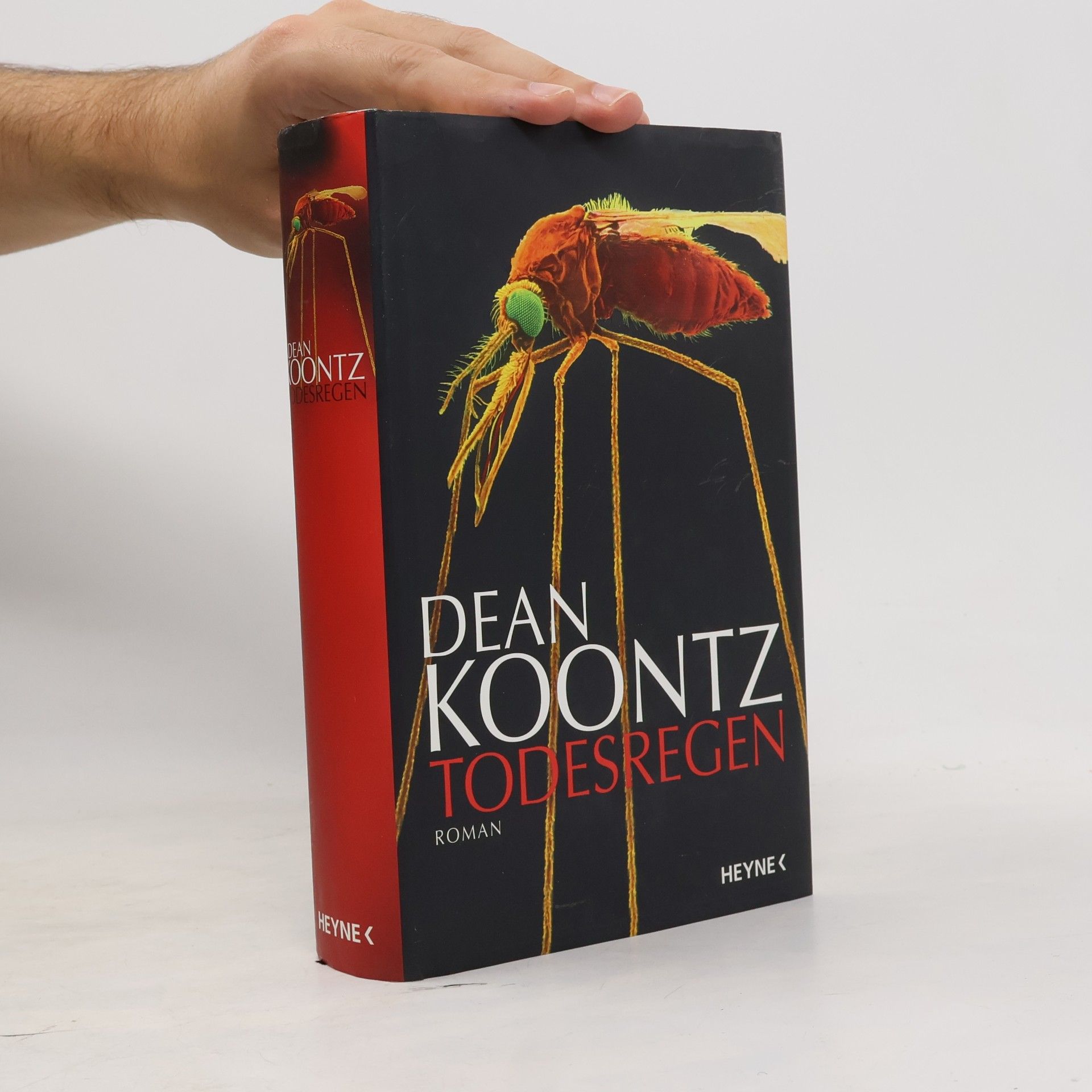 Dean Ray Koontz Todesregen