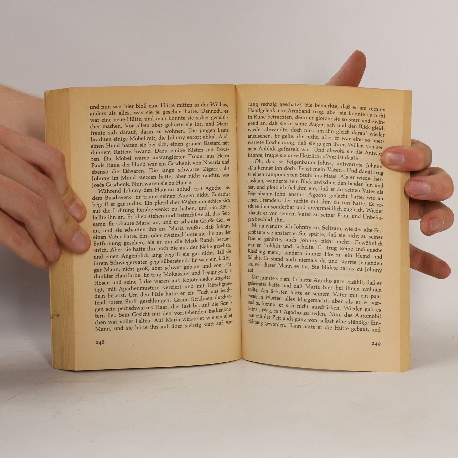 Edwin Corle Bastei Lübbe Bestseller: Roter Feuervogel, der einsame Indianer