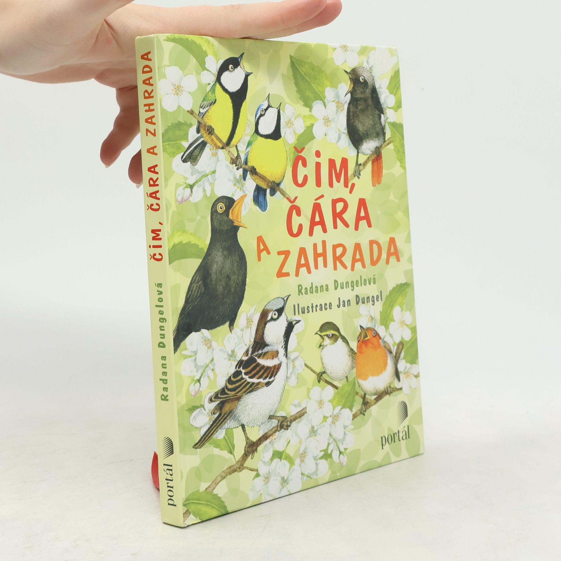 Radana Dungelová Čim, Čára a zahrada