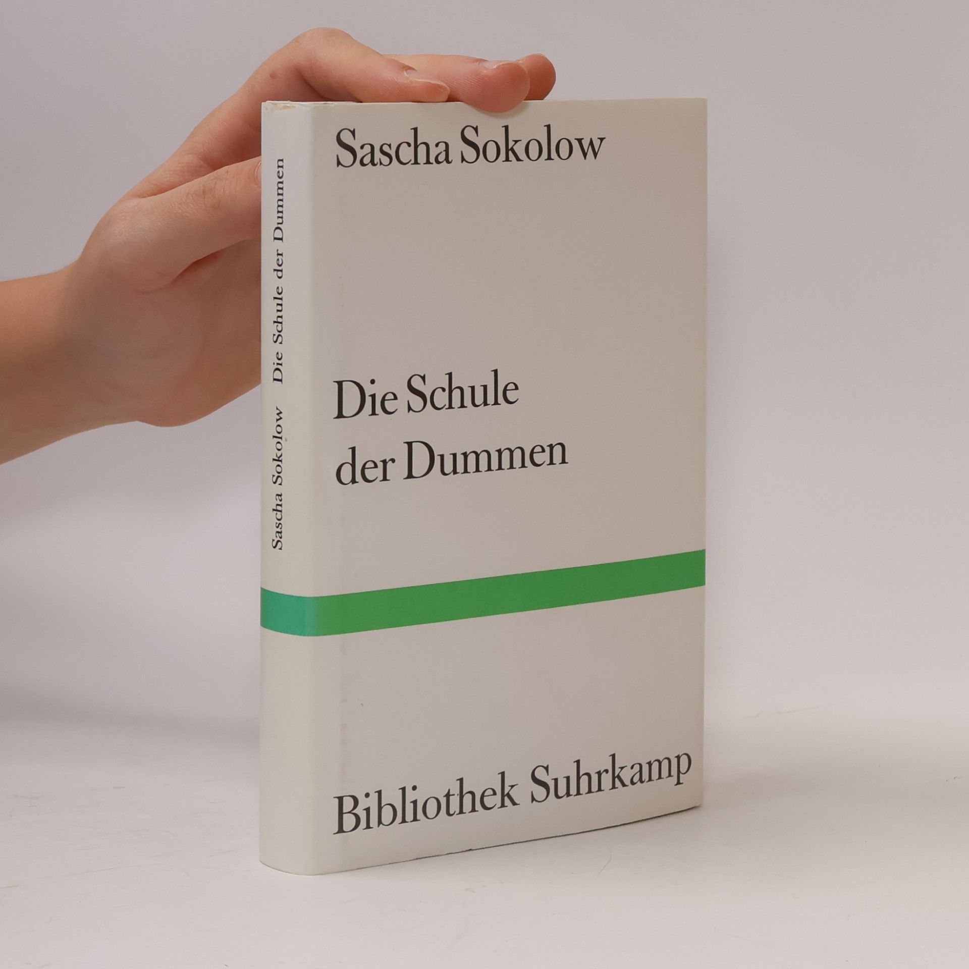Sasha Sokolov Die Schule der Dummen