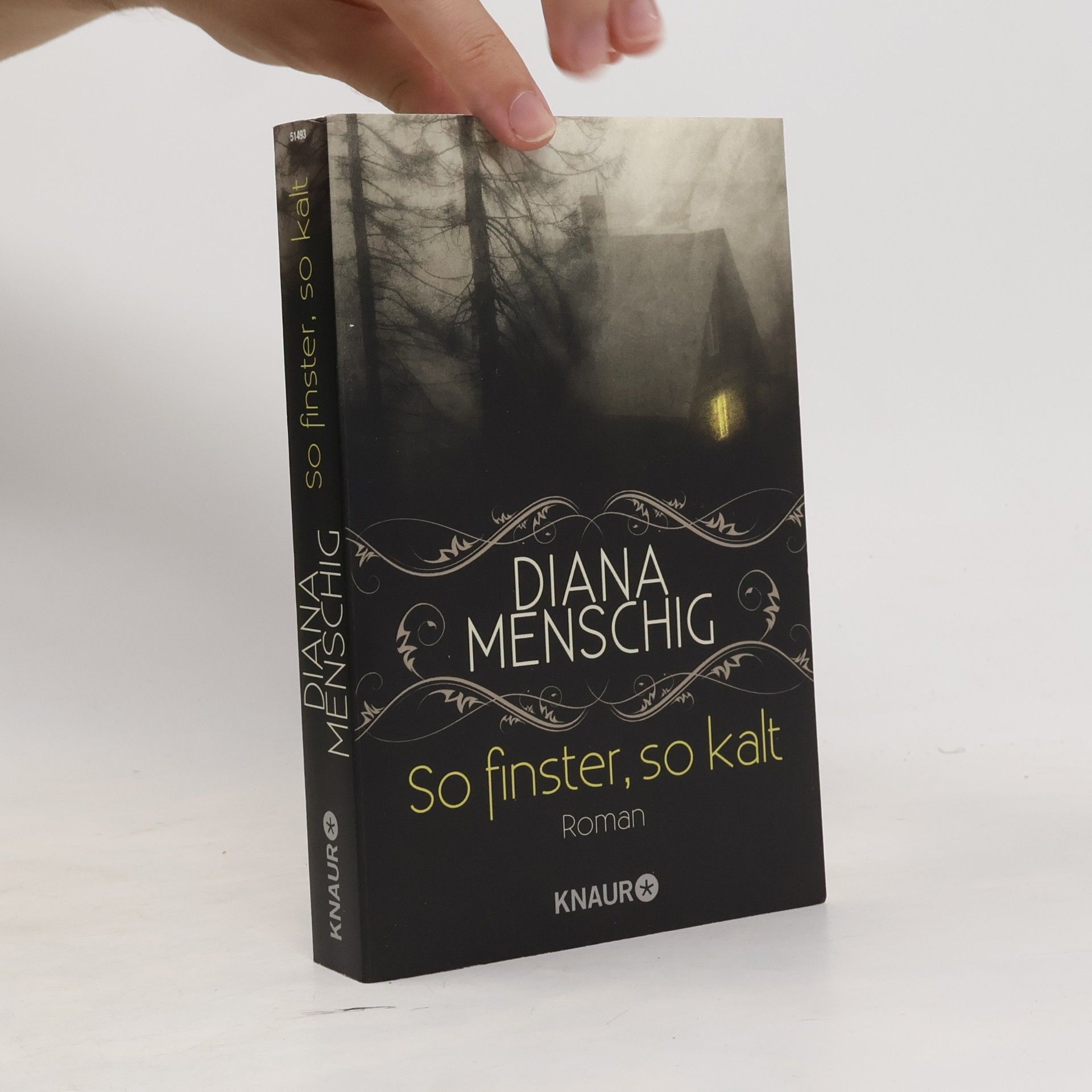 Diana Menschig So finster, so kalt