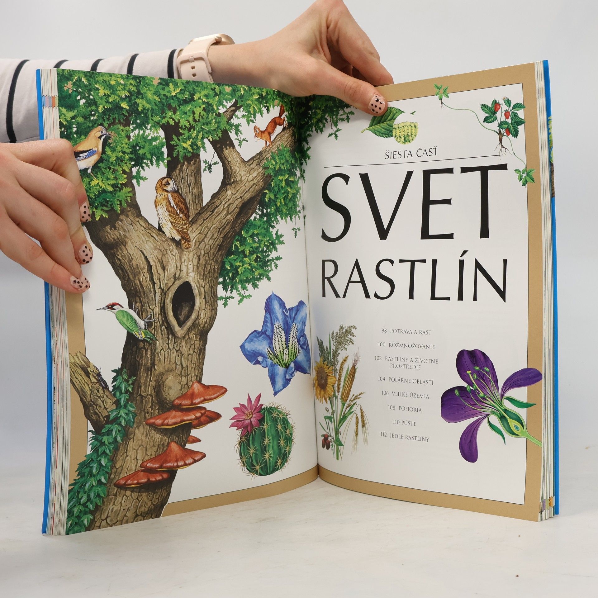 Collectif d'auteurs Náš svet