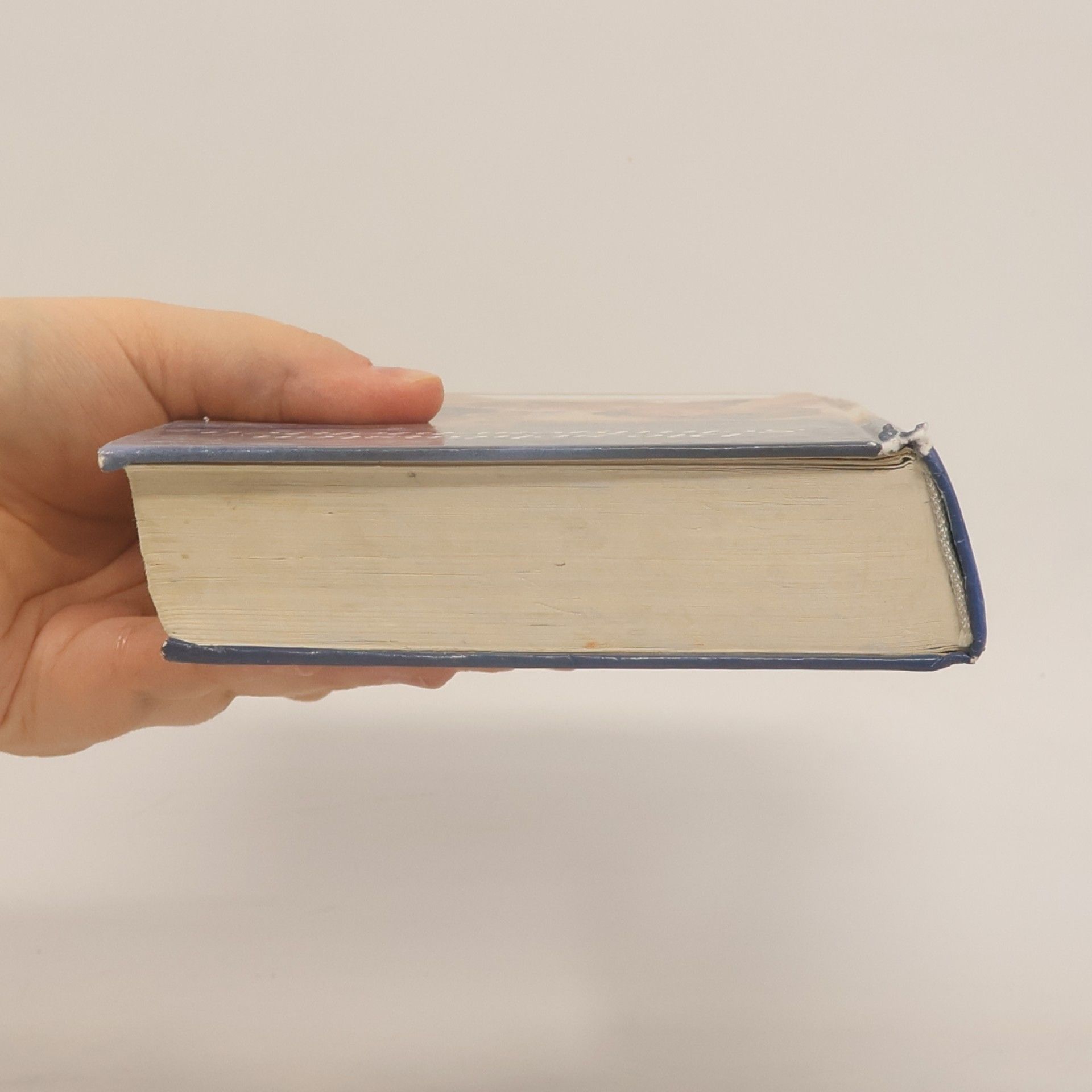 Die schönsten Schulgeschichten