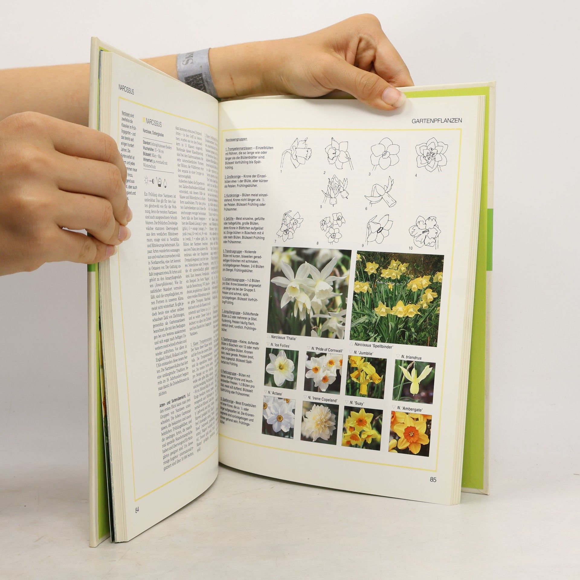 Ursula Krüger Blumen & Garten spezial
