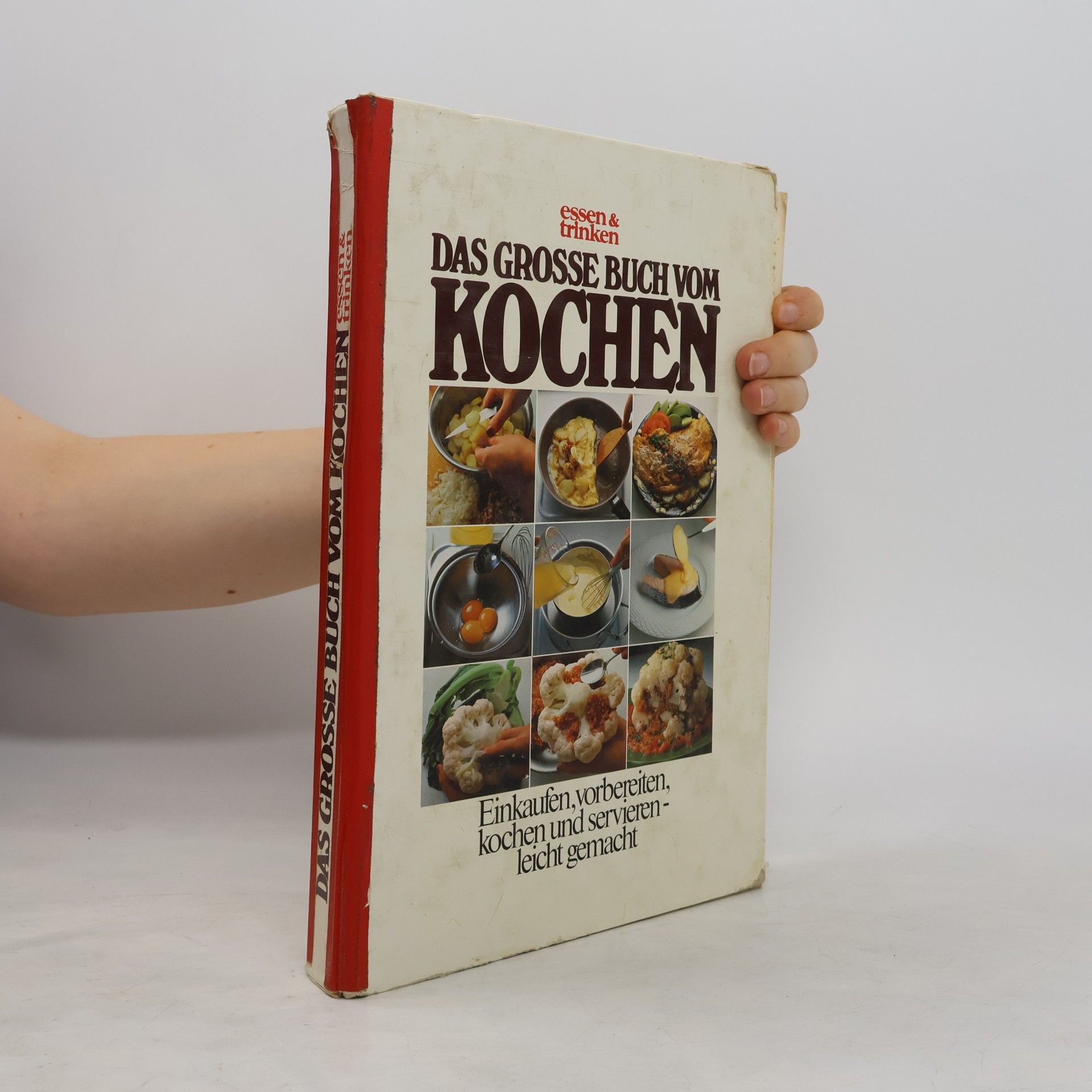 Kolektiv autorů Das Grosse Buch vom Kochen