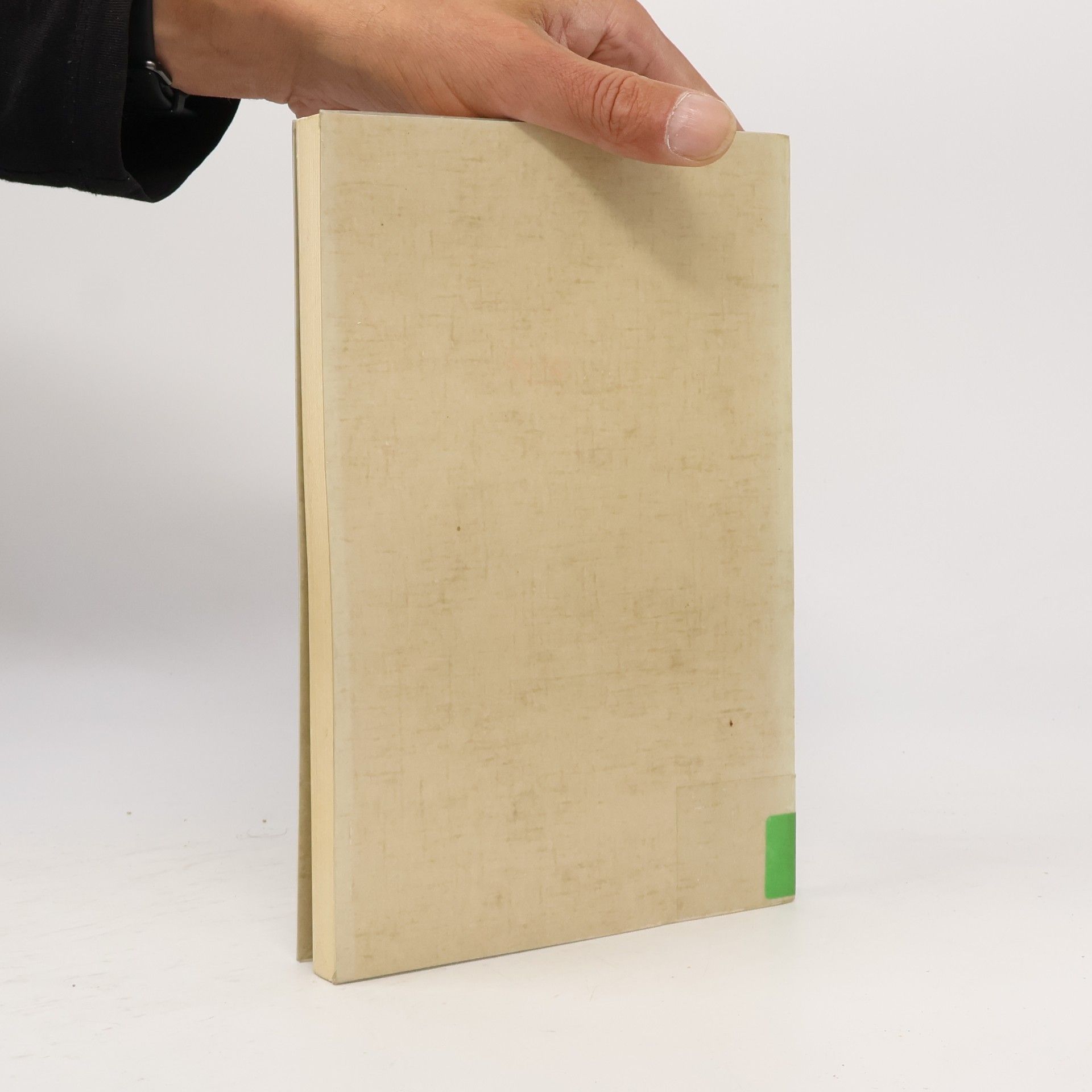 Norbert Wieselhuber Betriebswirtschaftliche Schriften - 107: Konzeption und Realisation von Produkt-Design in der Konsumgüterindustrie