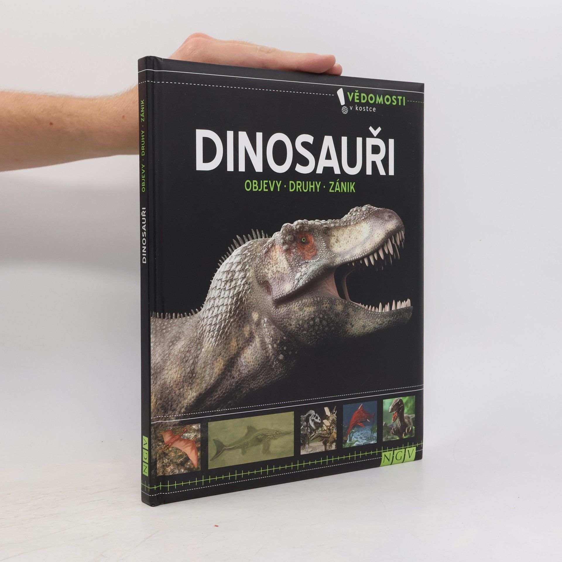 Autorenkollektiv Dinosauři