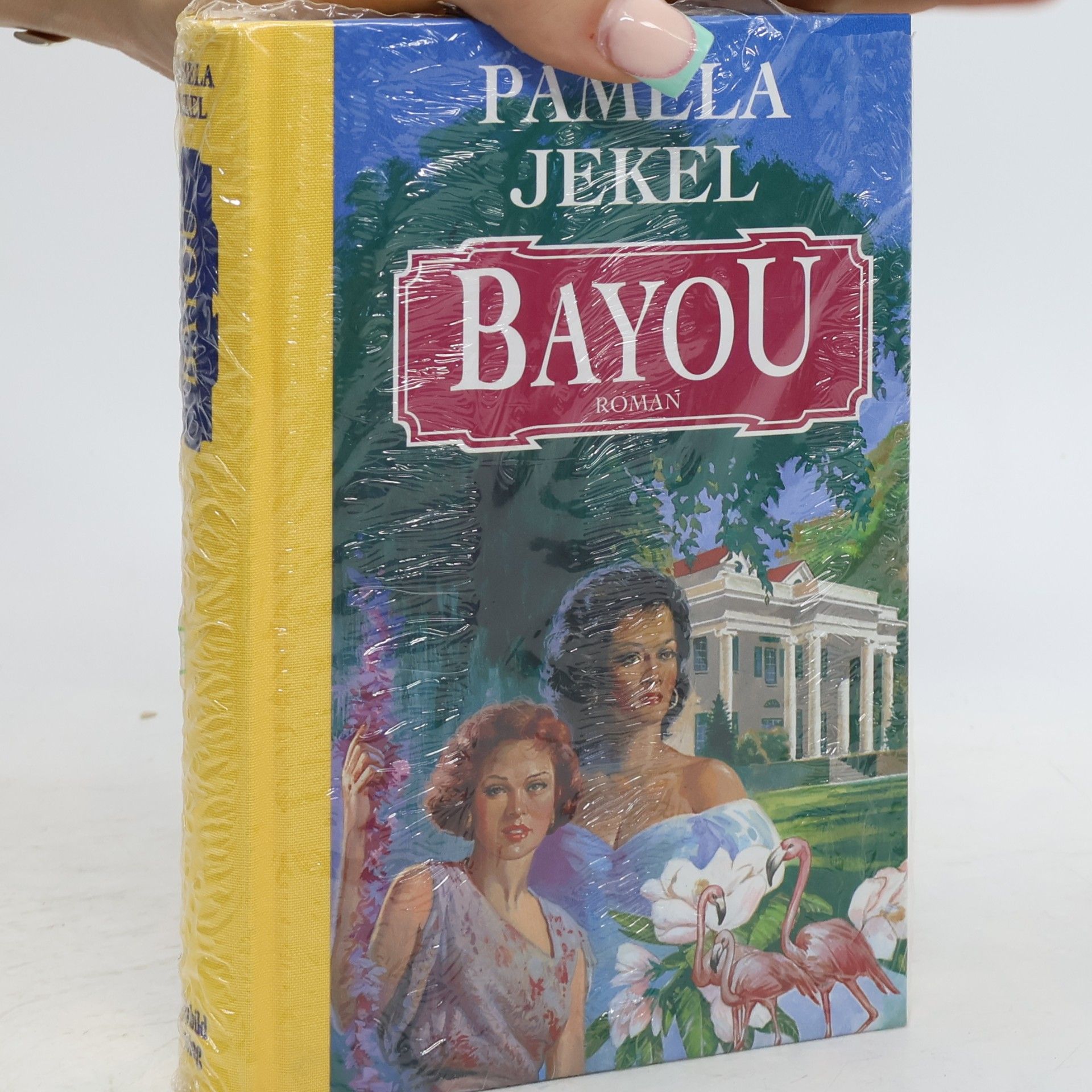 Bayou