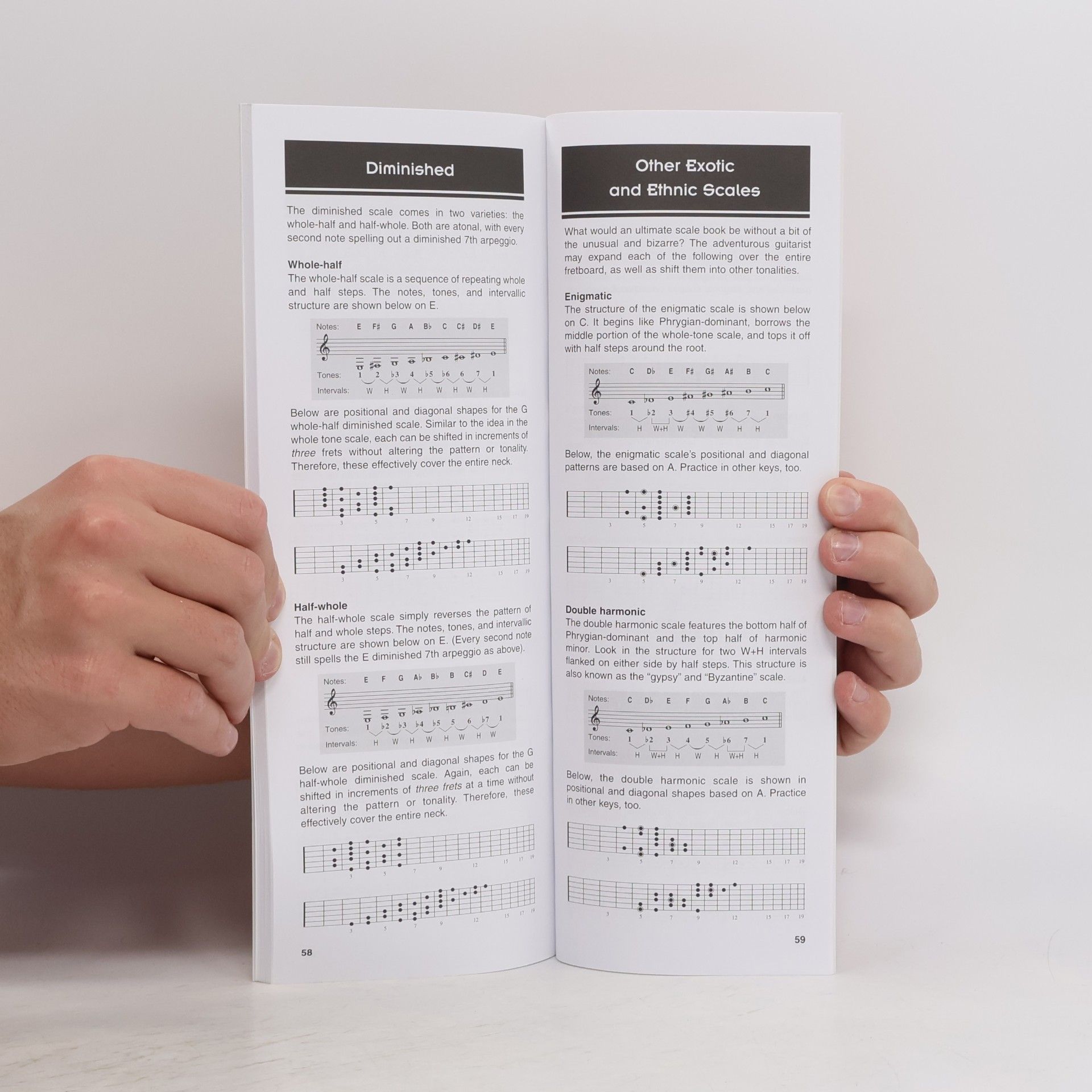 Troy Stetina The Ultimate Scale Book
