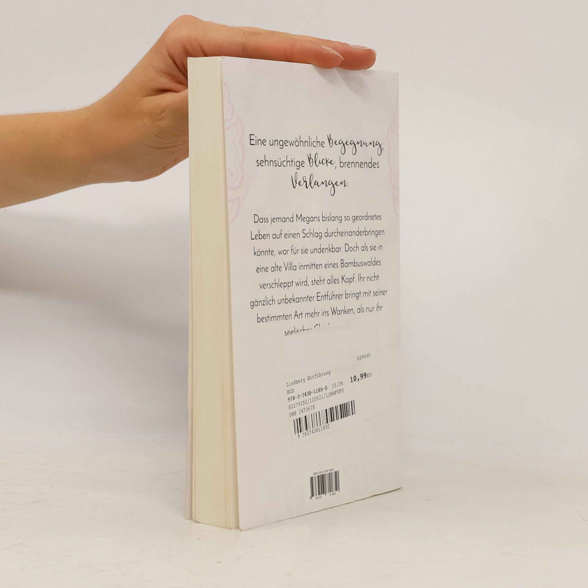 Karin Lindberg Die Entführung