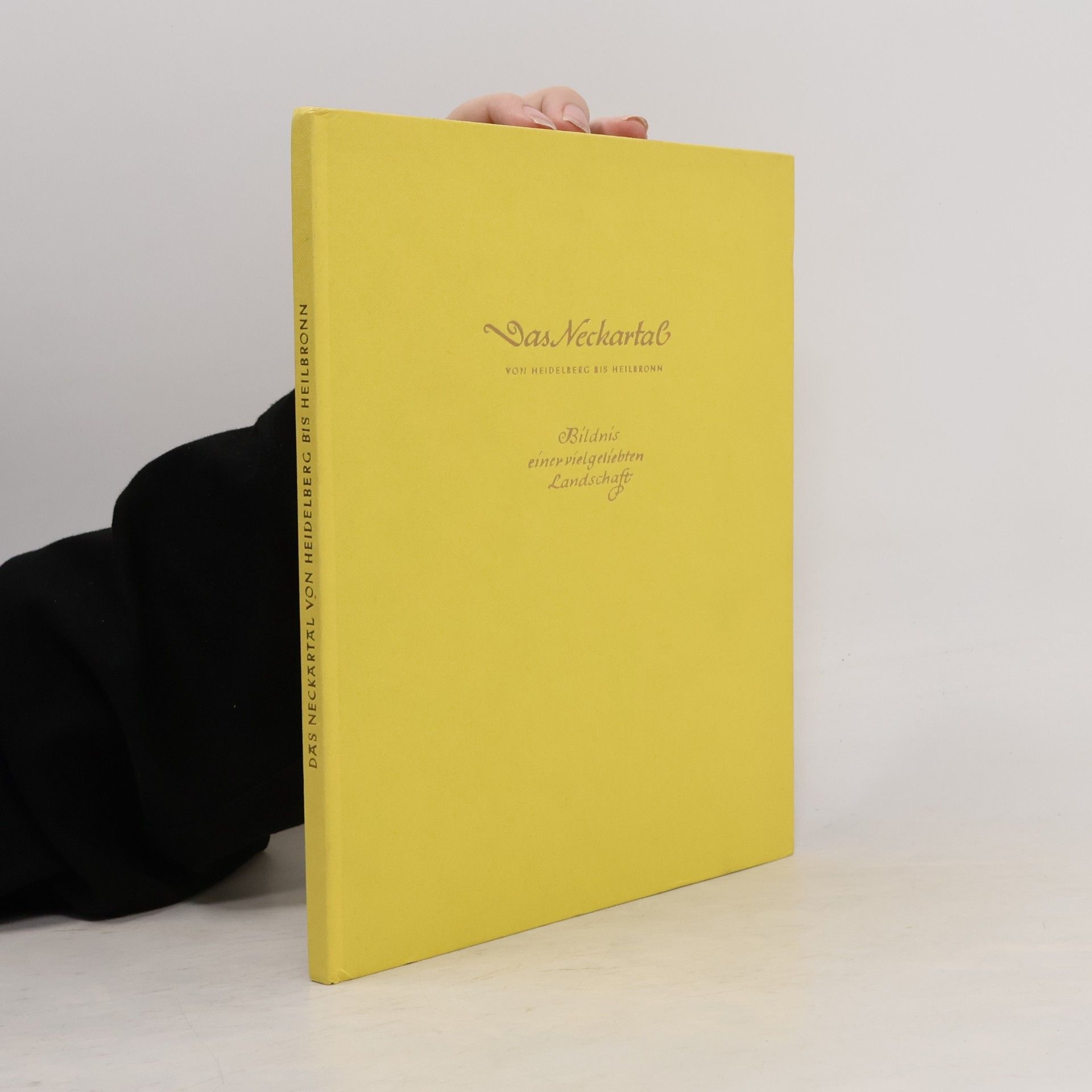 Max Perkow Das Neckartal