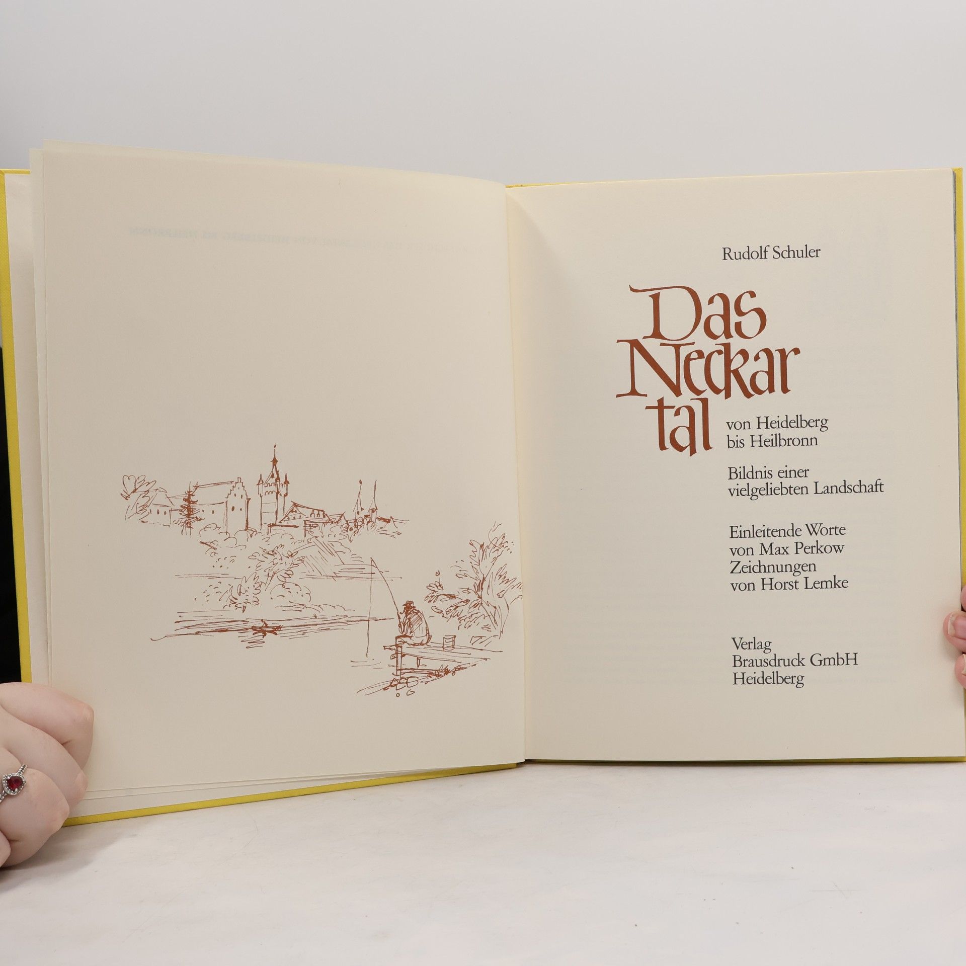 Horst Lemke Das Neckartal