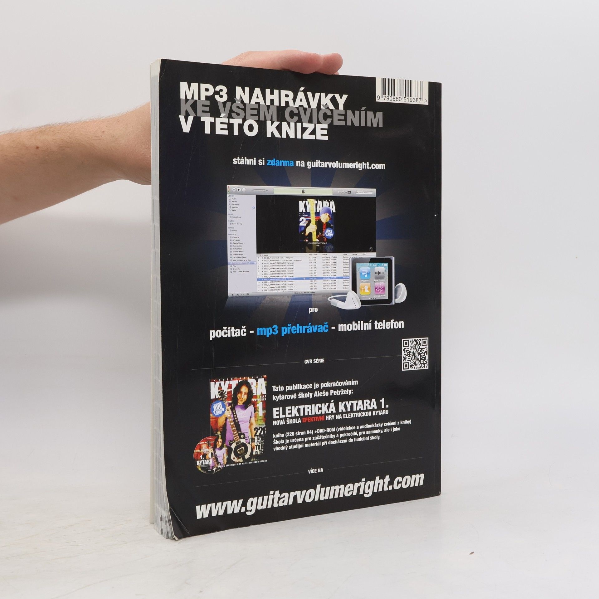 Aleš Petržela Elektrická kytara
