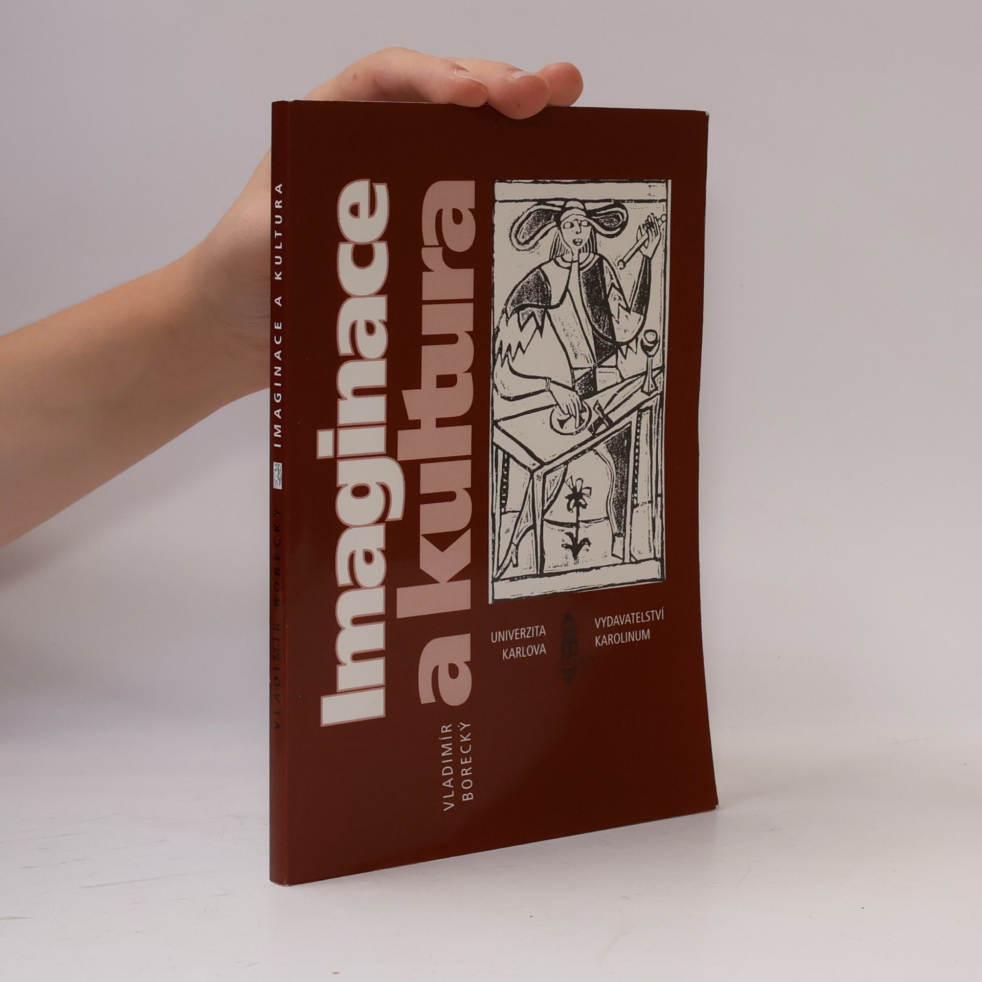 Vladimír Borecký Imaginace a kultura