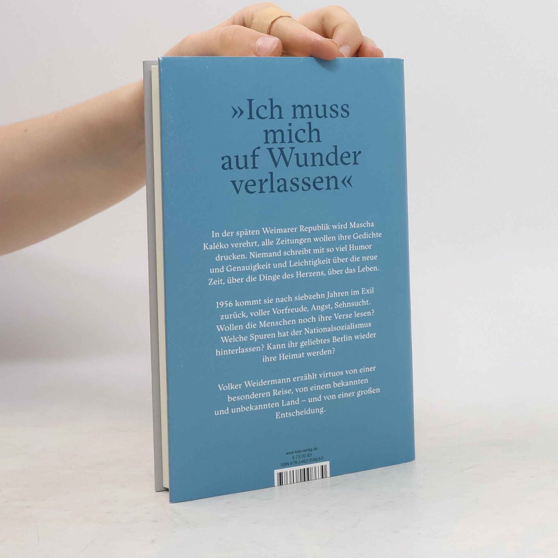 Volker Weidermann Wenn ich eine Wolke wäre