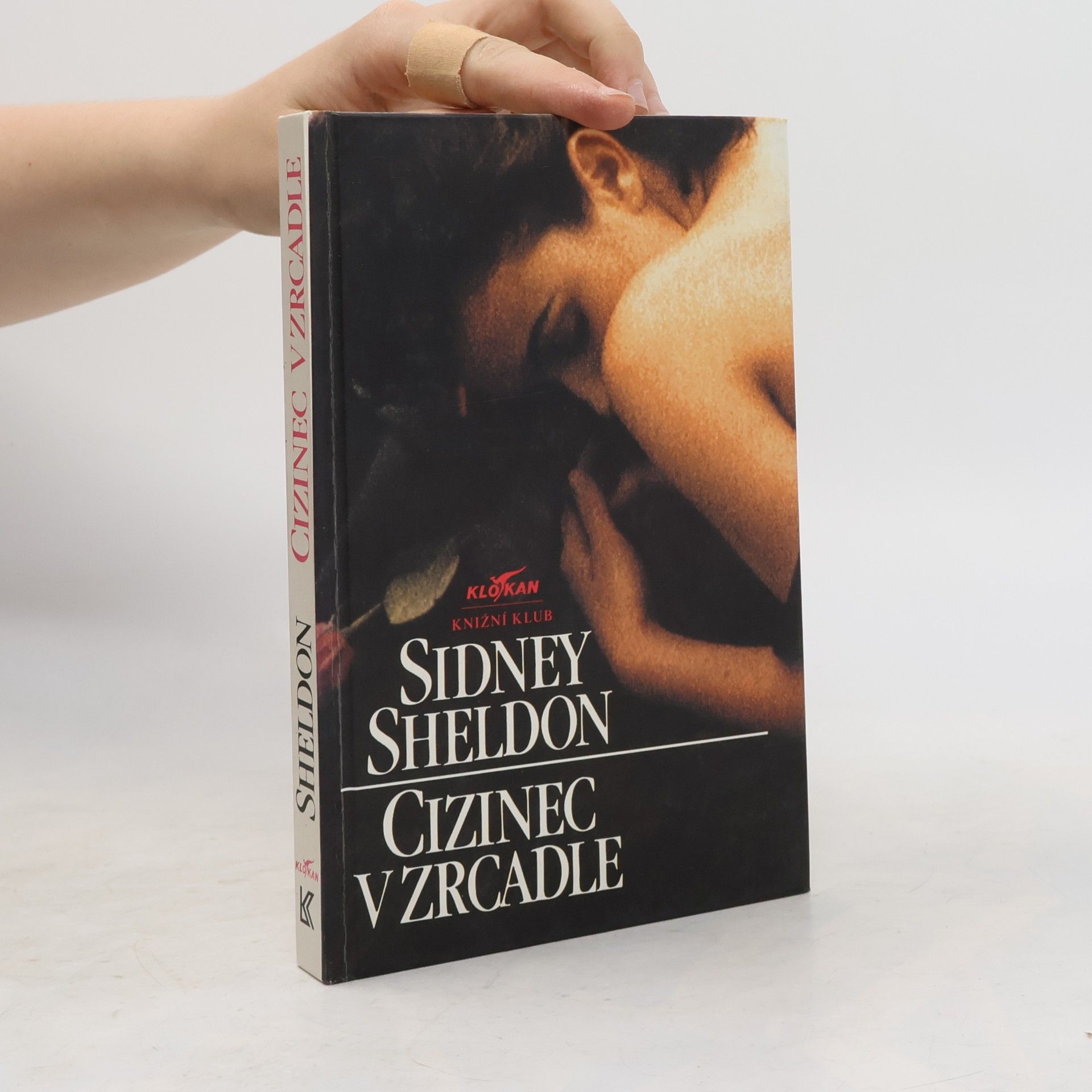 Sidney Sheldon Cizinec v zrcadle