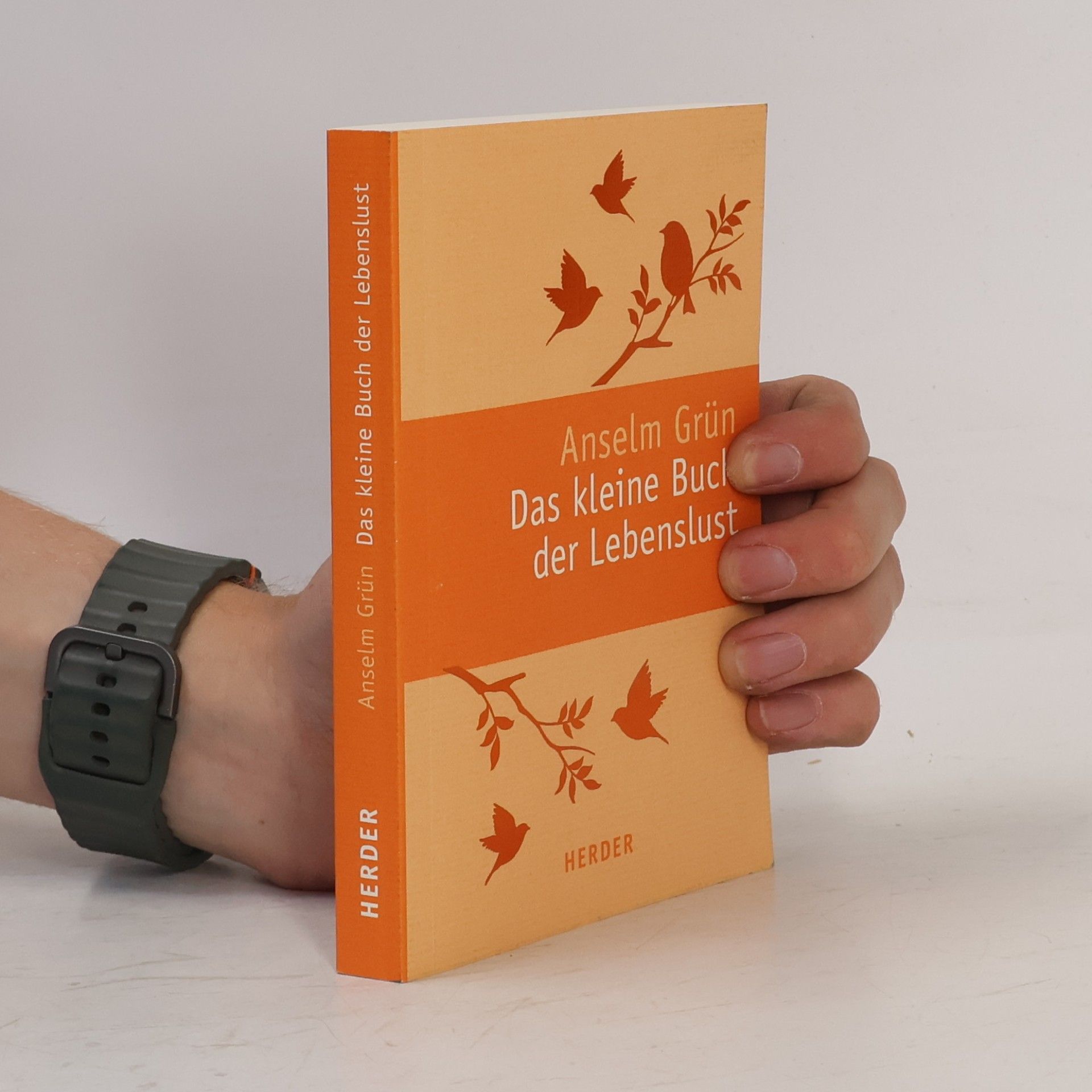 Anselm Grün Das kleine Buch der Lebenslust