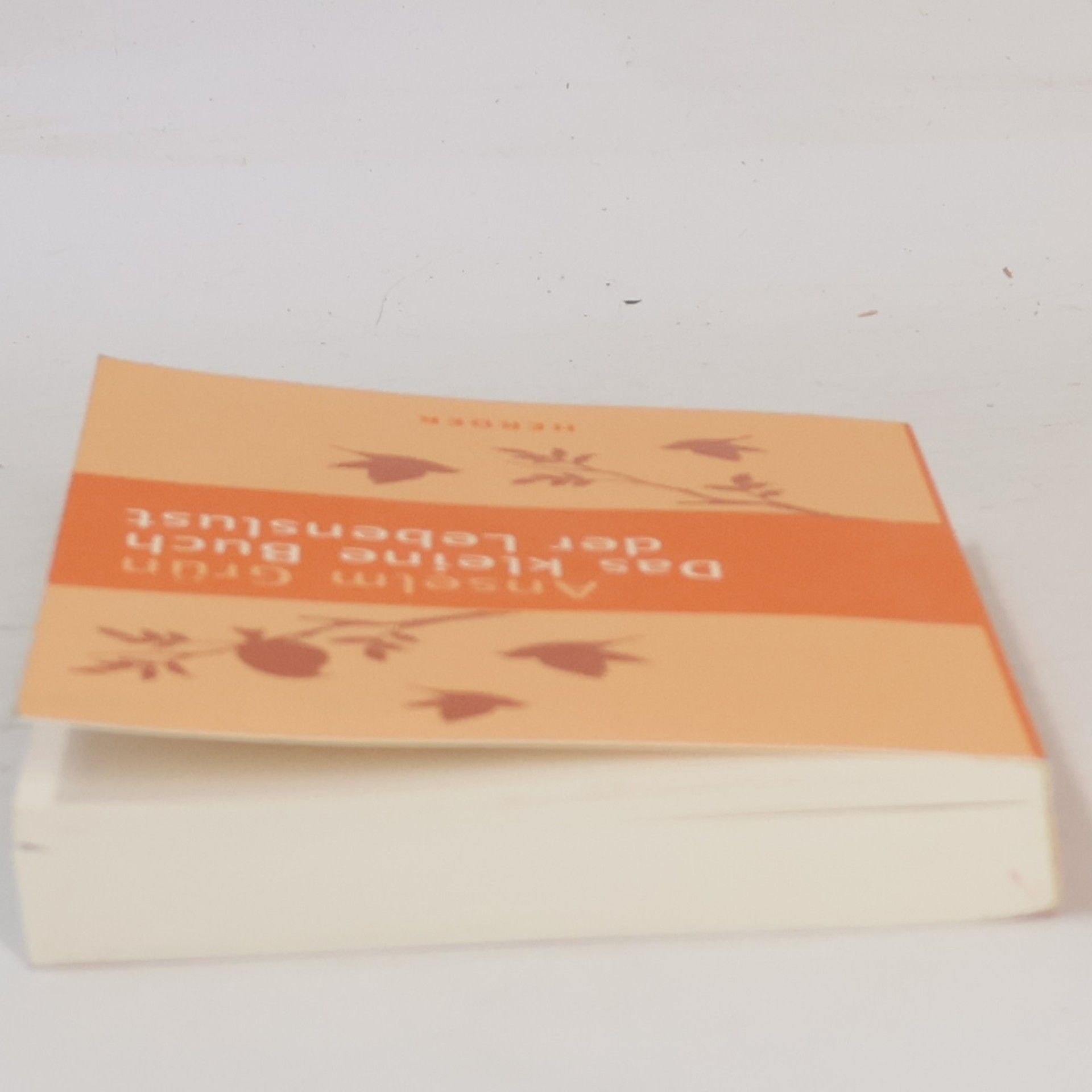 Anselm Grün Das kleine Buch der Lebenslust