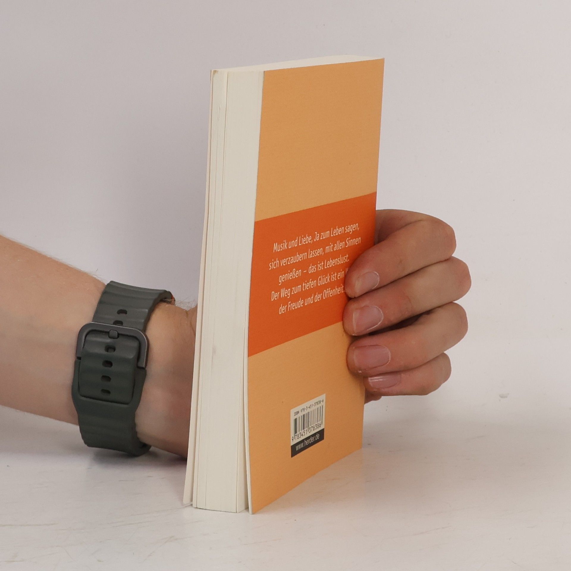 Anselm Grün Das kleine Buch der Lebenslust