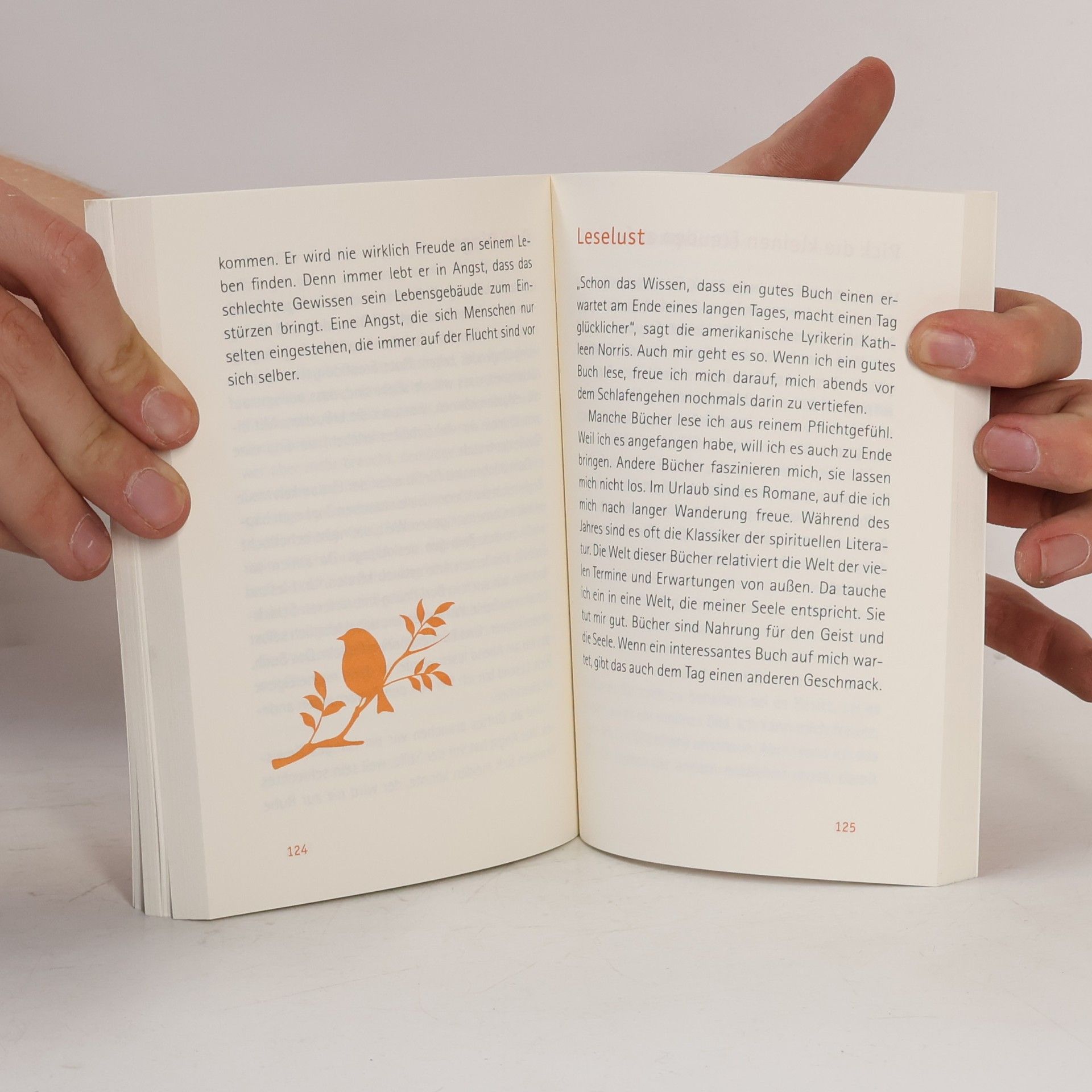 Anselm Grün Das kleine Buch der Lebenslust