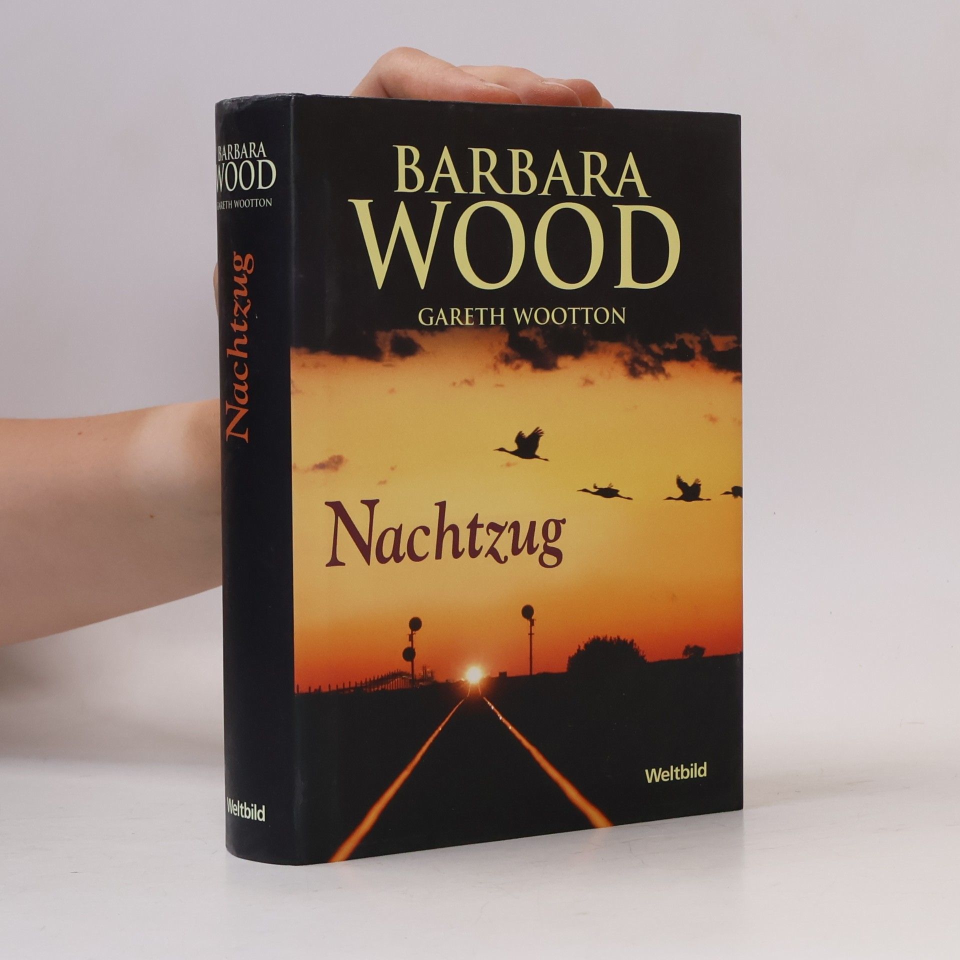 Barbara Wood Nachtzug