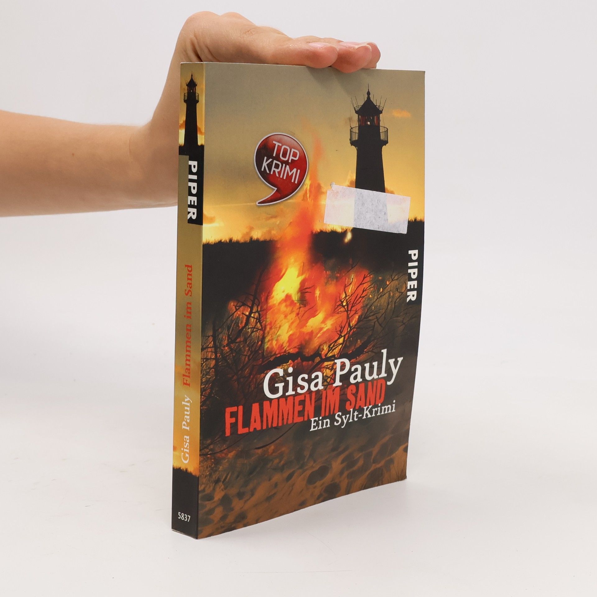 Gisela Pauly Flammen im Sand
