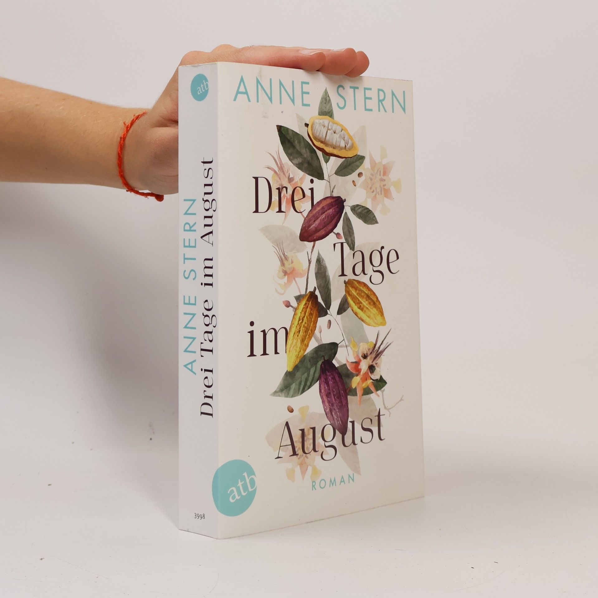 Anne Stern Drei Tage im August