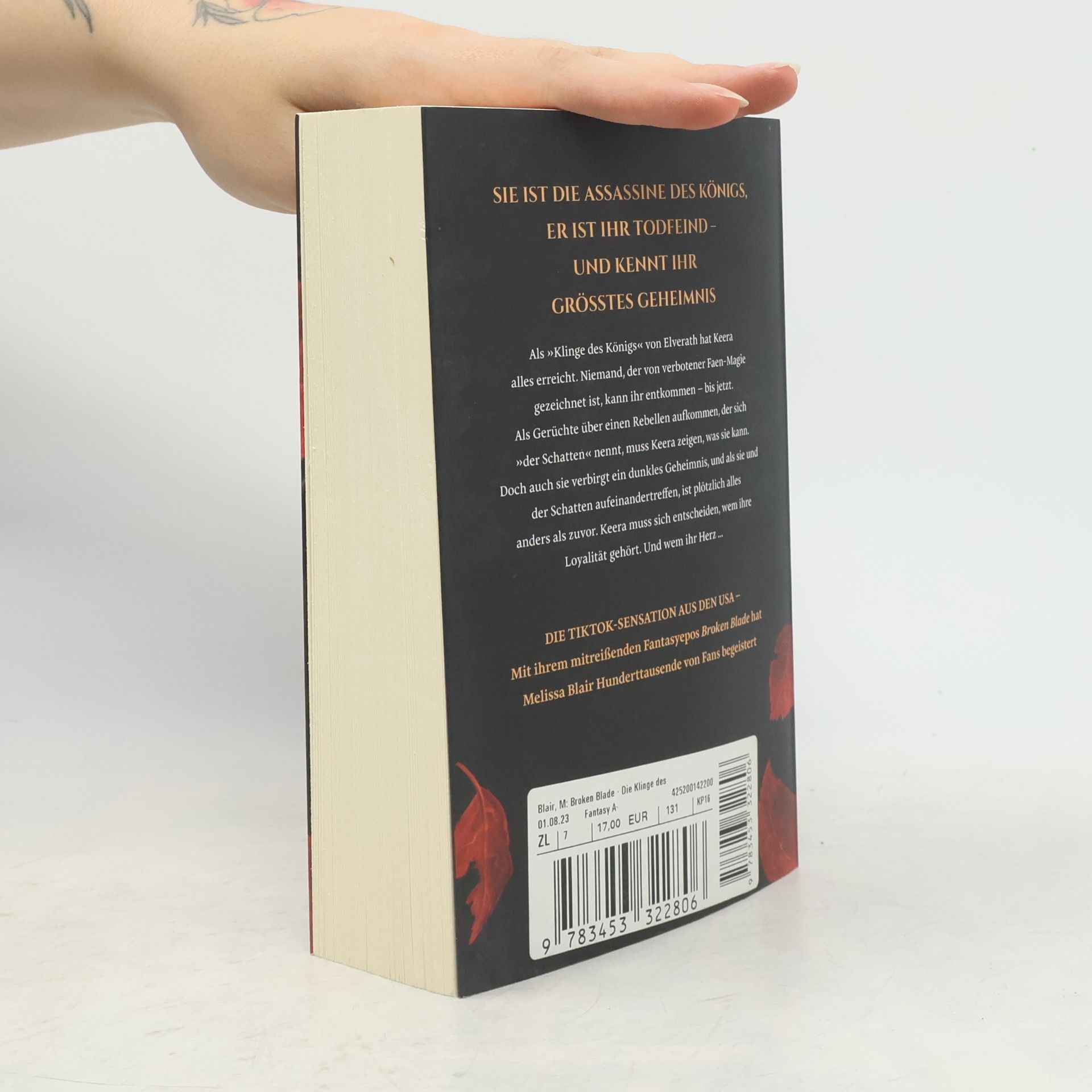 Melissa Blair Broken Blade – Die Klinge des Königs