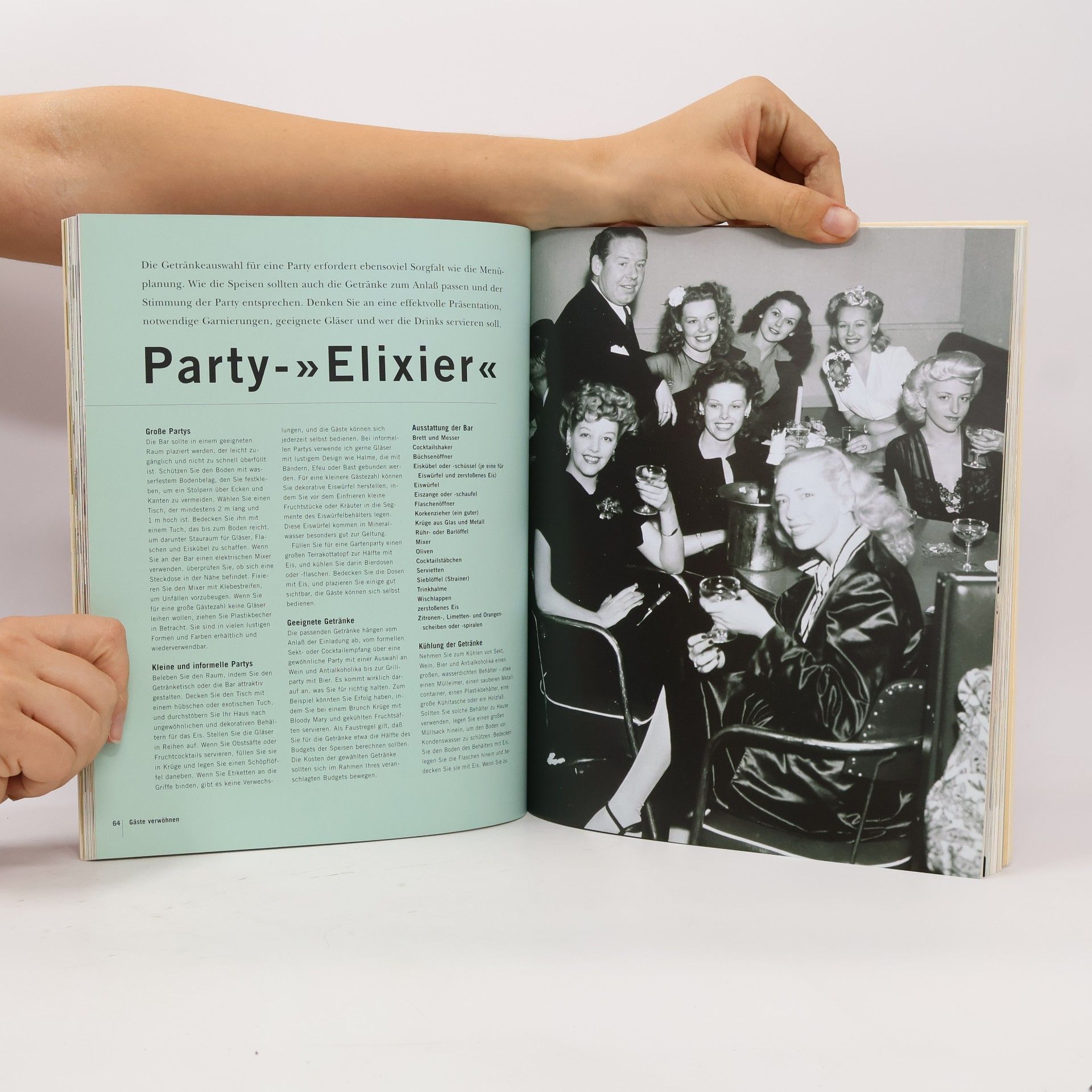 Alison Price Perfekte Partys