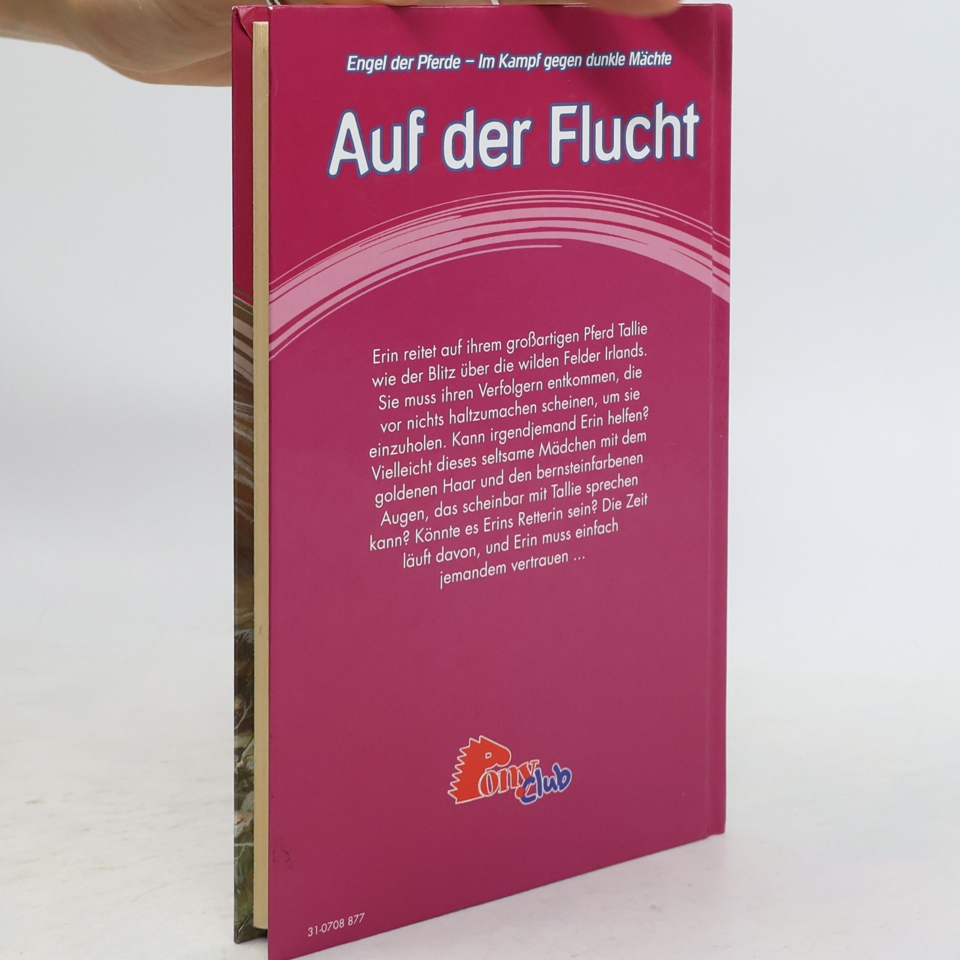 Angela Dorsey Engel der Pferde 9. Auf der Flucht